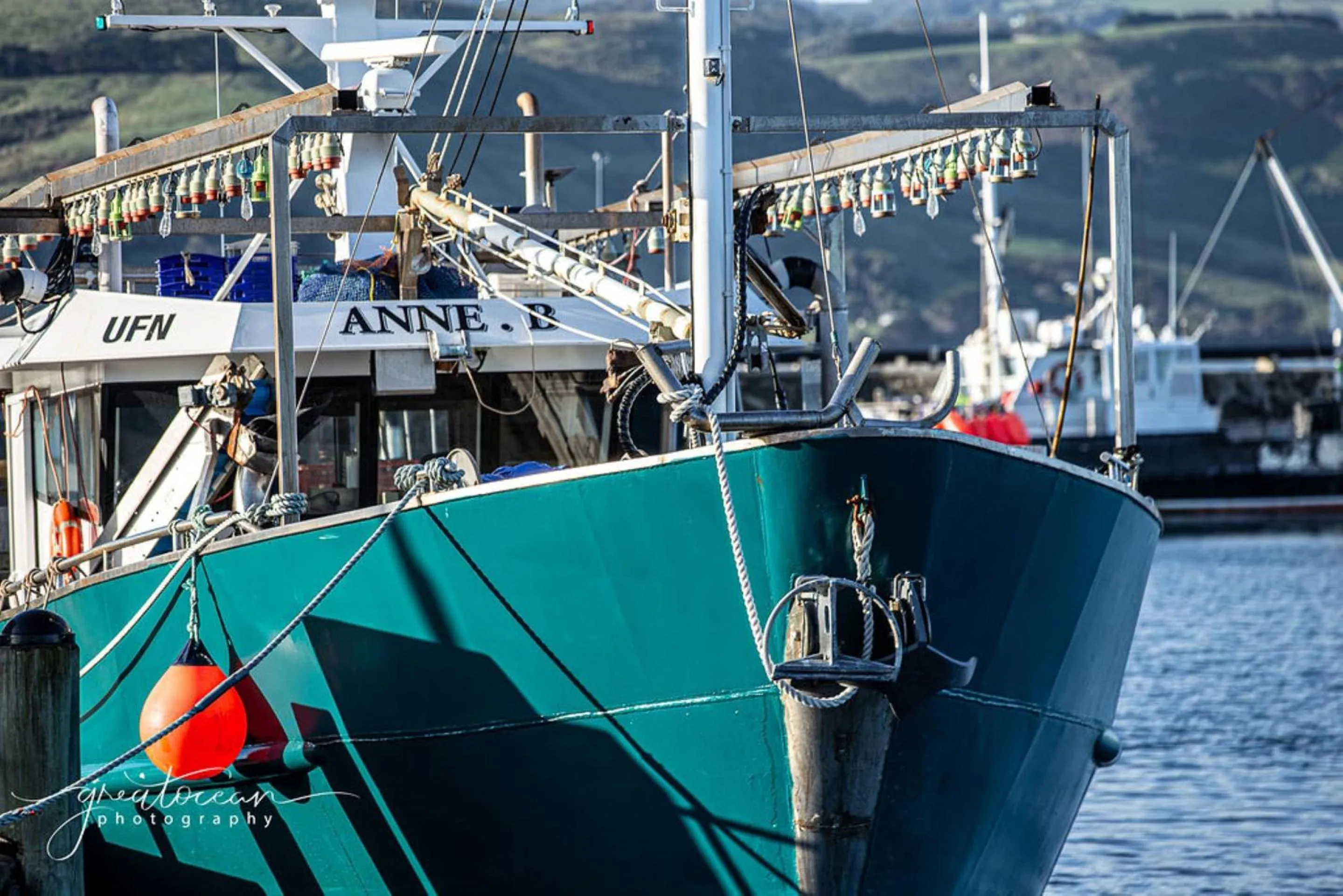 Fishing in Apollo Bay Motel & Apartments