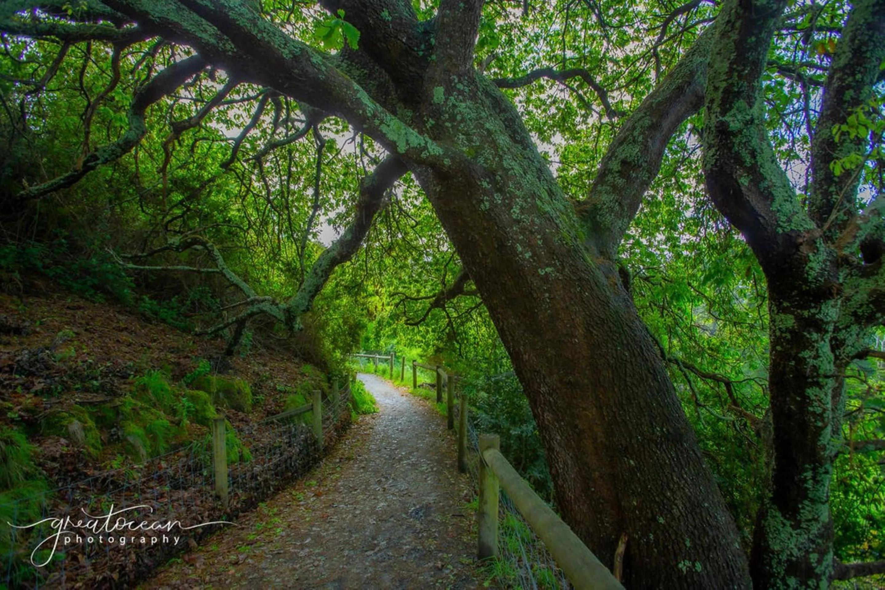 Other in Apollo Bay Motel & Apartments