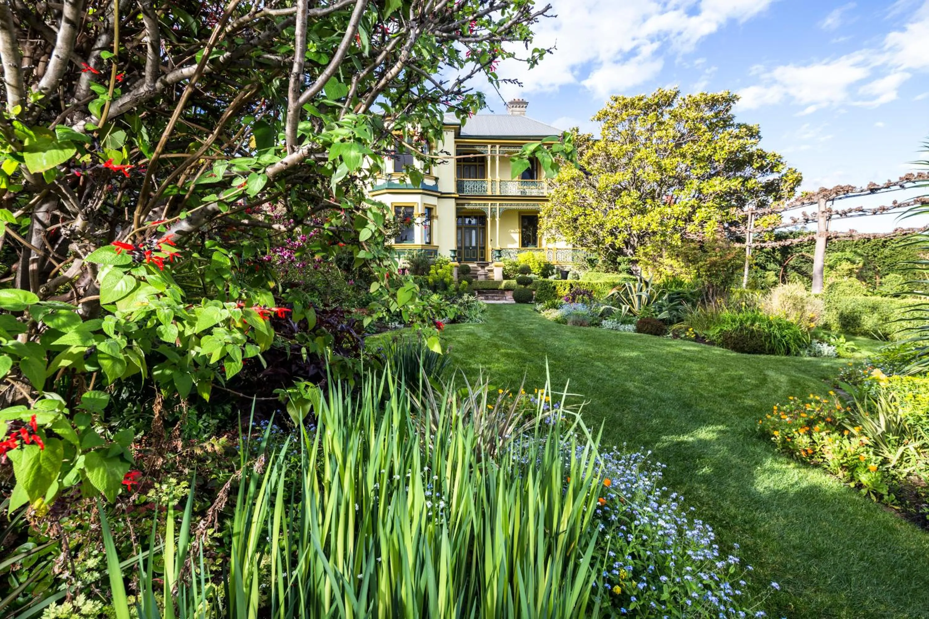 Garden in Corinda Contemporary