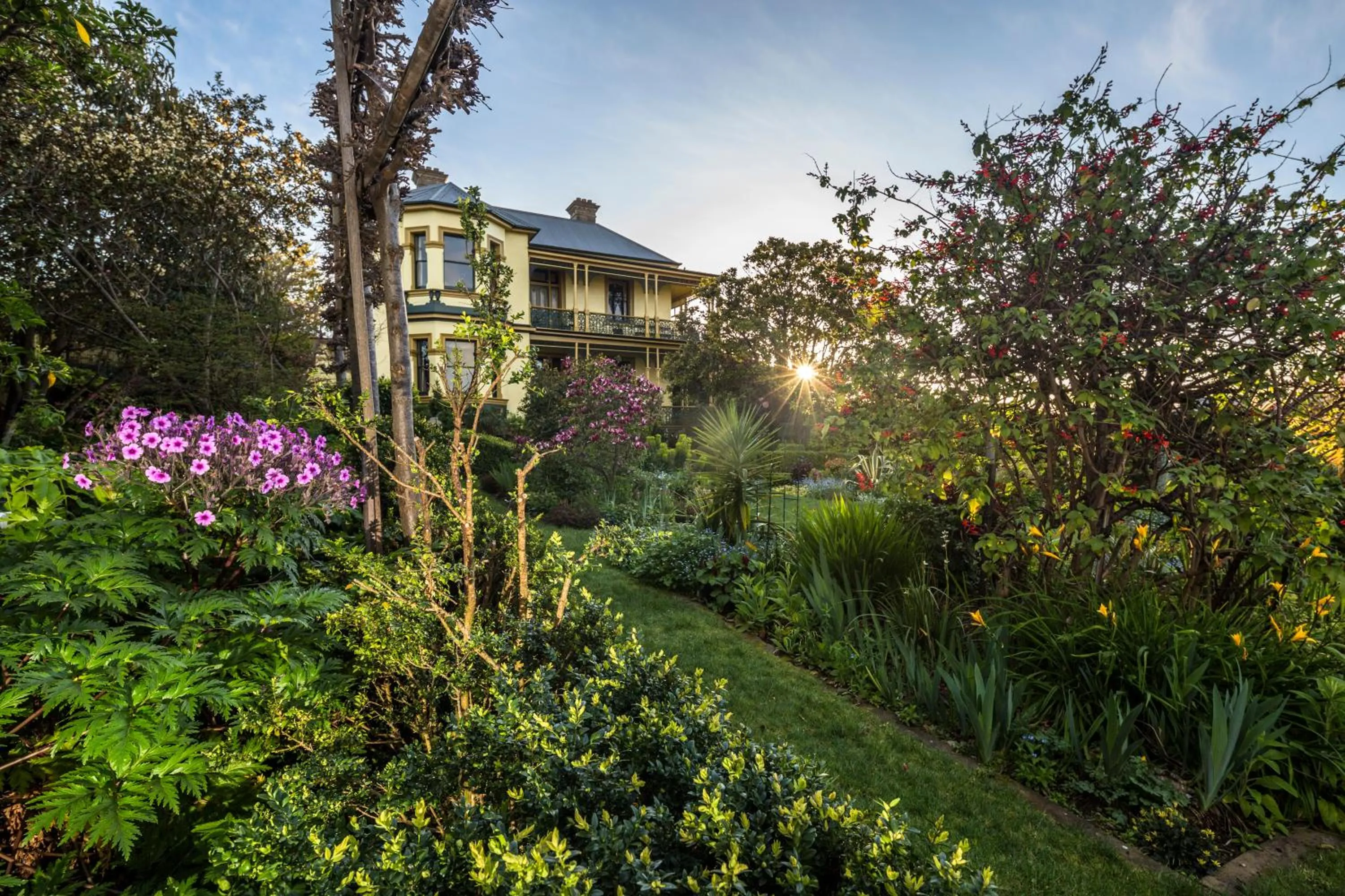 Garden in Corinda Contemporary