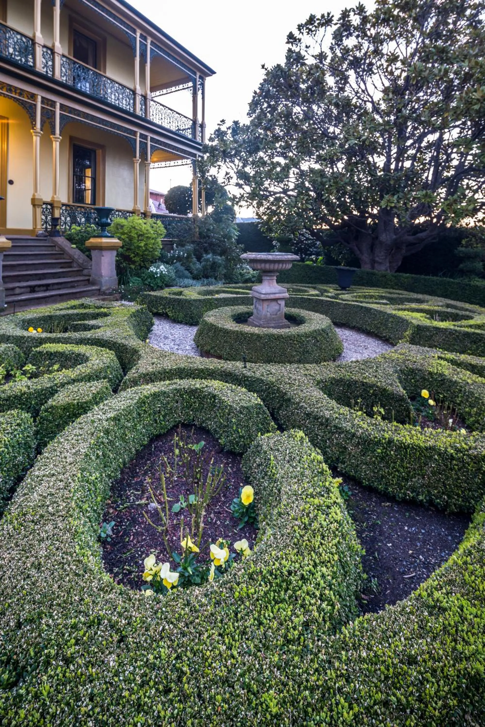 Garden in Corinda Contemporary