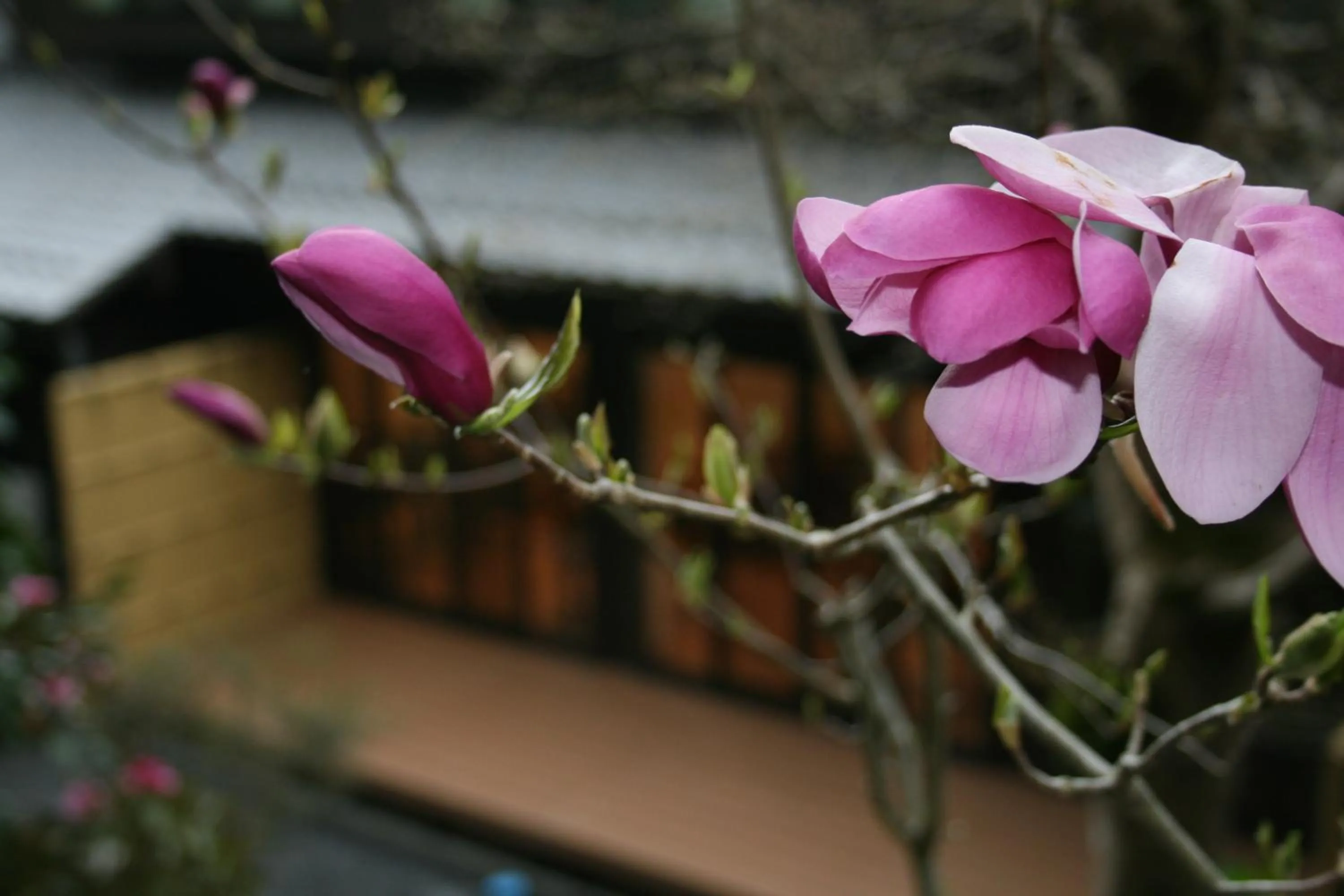 View (from property/room) in Yumoto Onsen OharaSansou