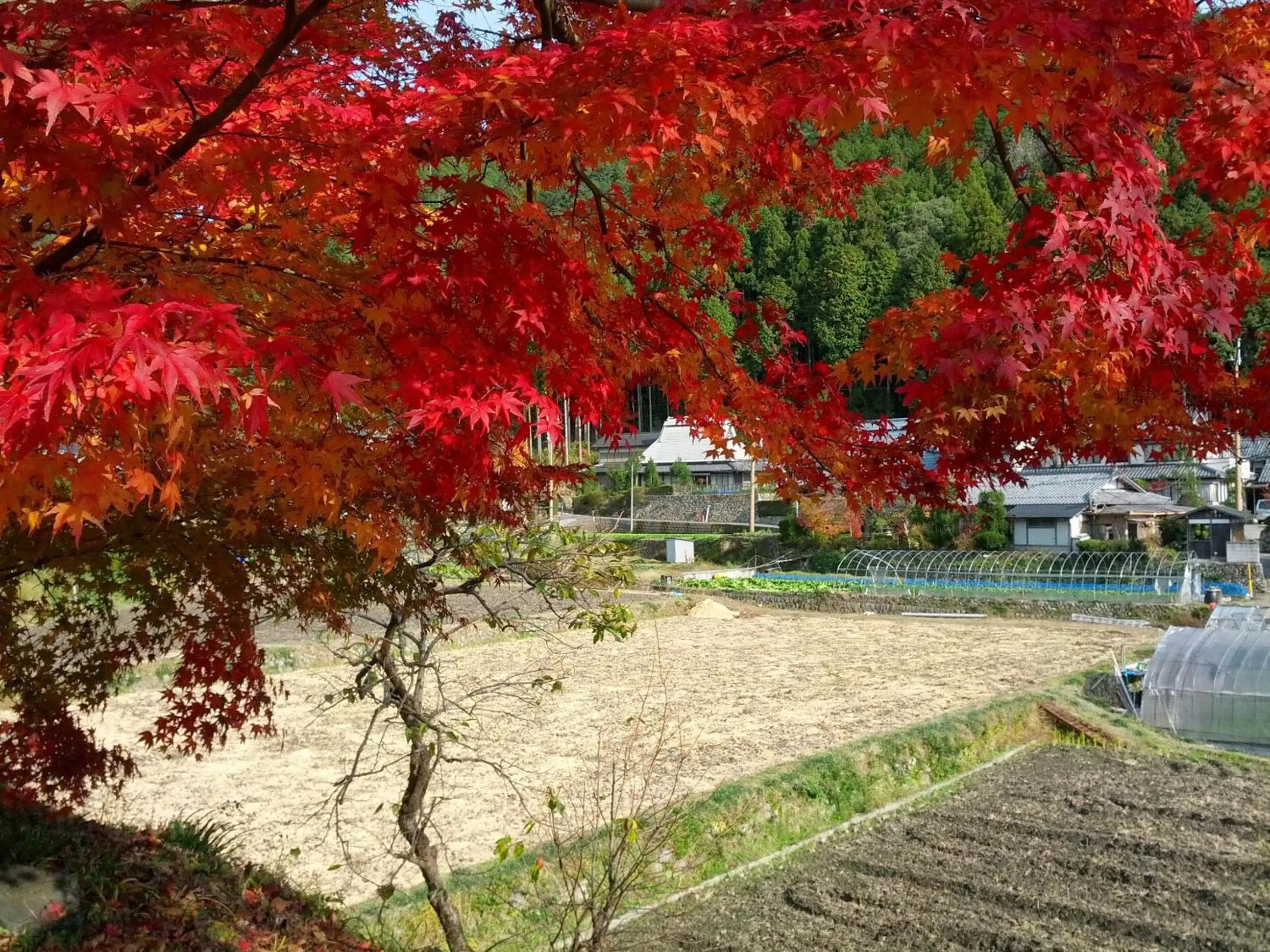 Area and facilities in Yumoto Onsen OharaSansou