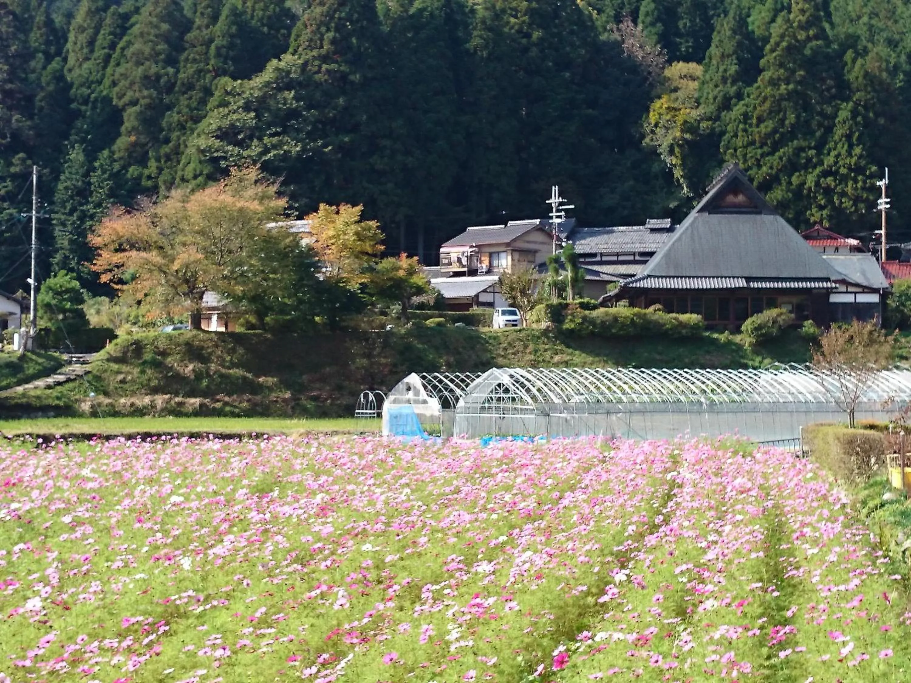 Area and facilities in Yumoto Onsen OharaSansou