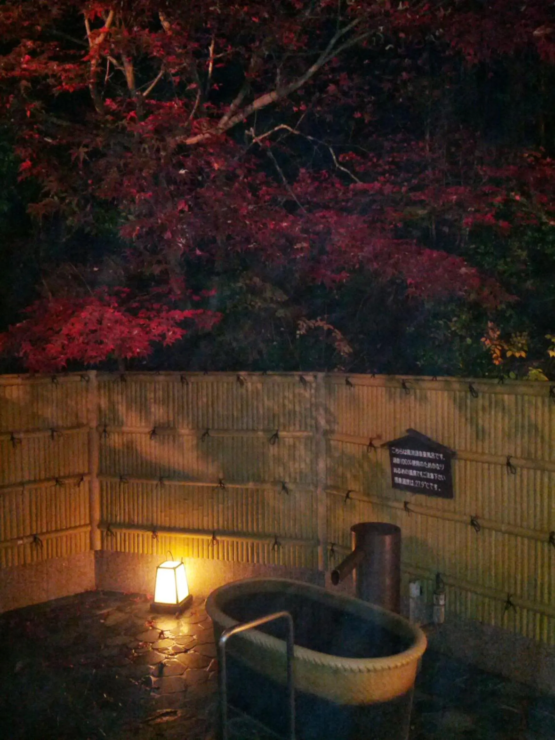 Hot Spring Bath in Yumoto Onsen OharaSansou