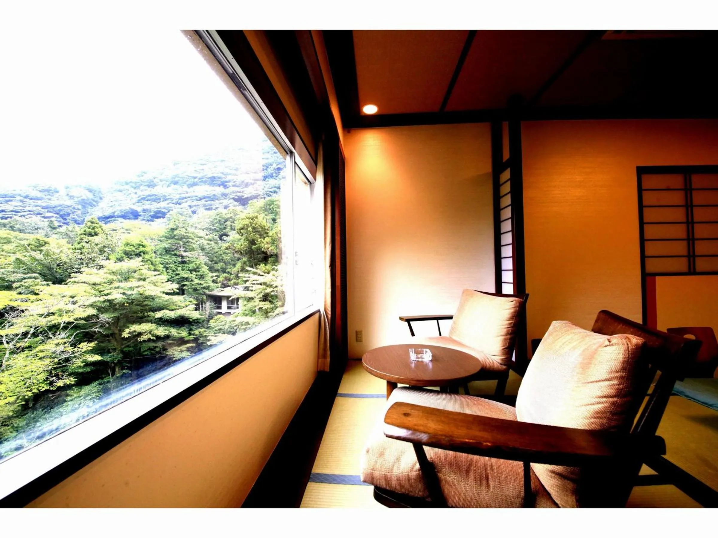 View (from property/room) in Hotel Okuyumoto
