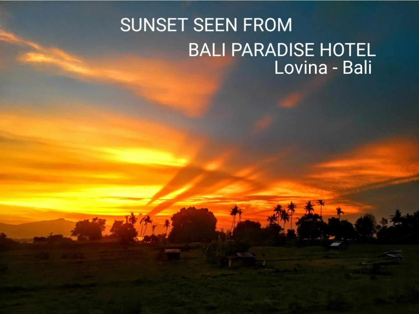 Bali Paradise Hotel Boutique Resort