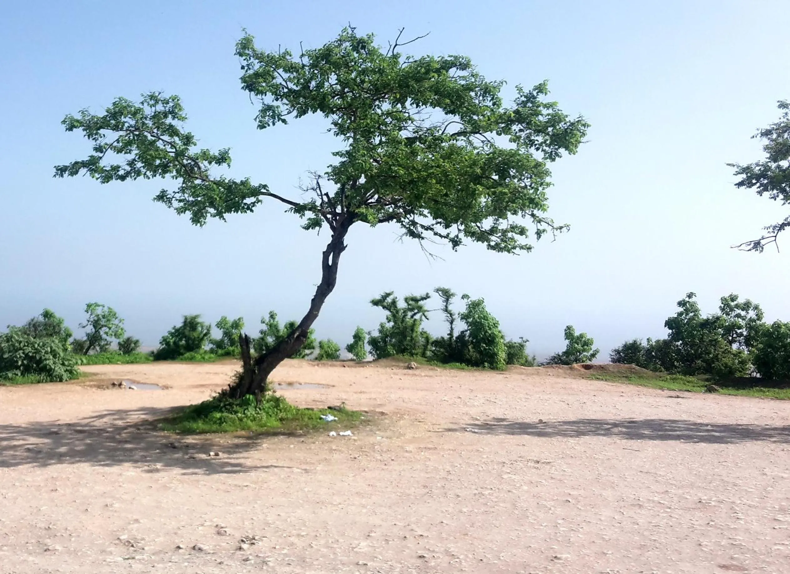 Natural landscape in Samharam Resort Salalah