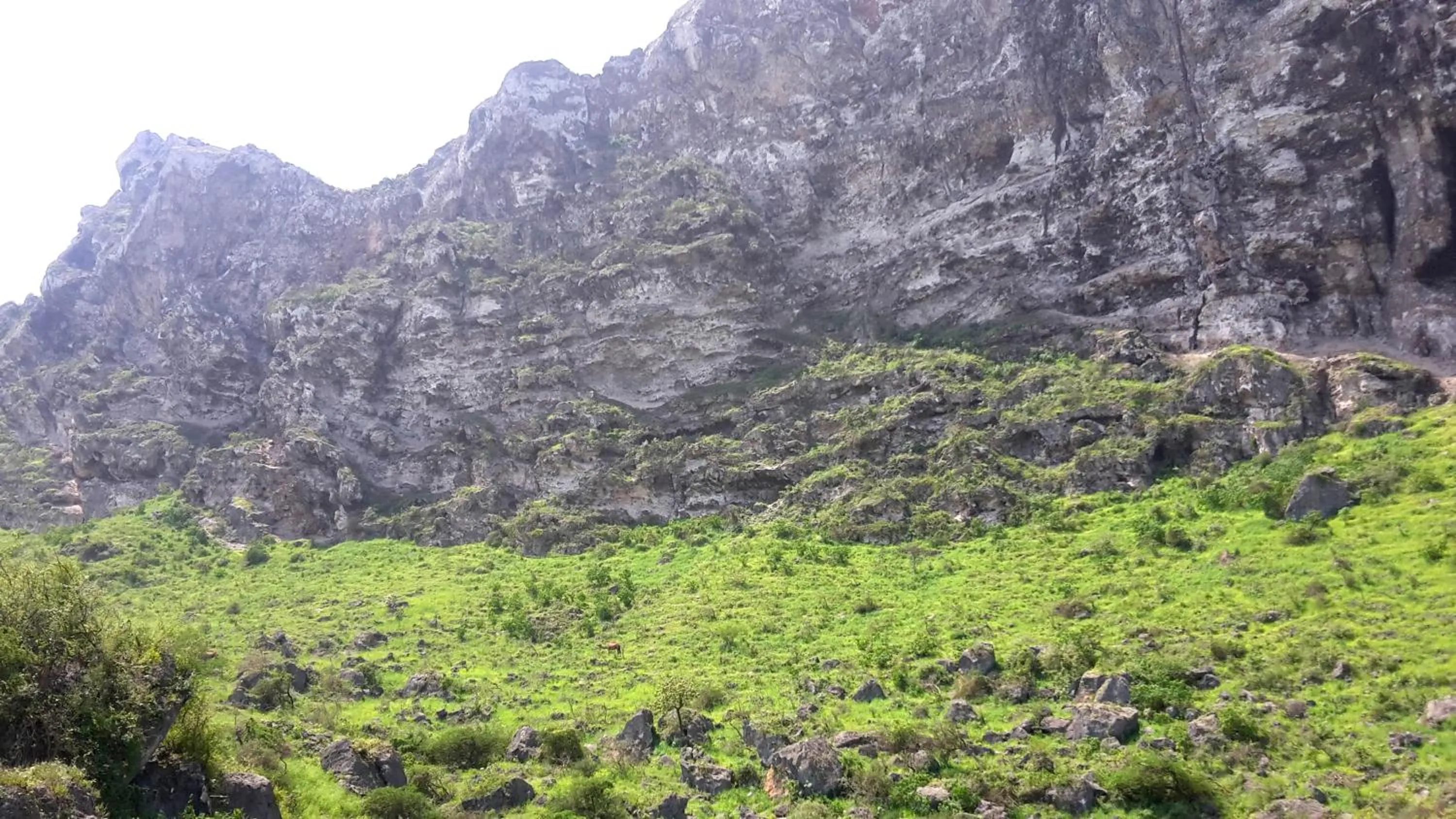 Natural landscape in Samharam Resort Salalah