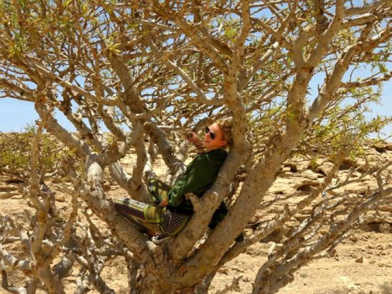 Natural landscape, Other Animals in Haffa House Salalah