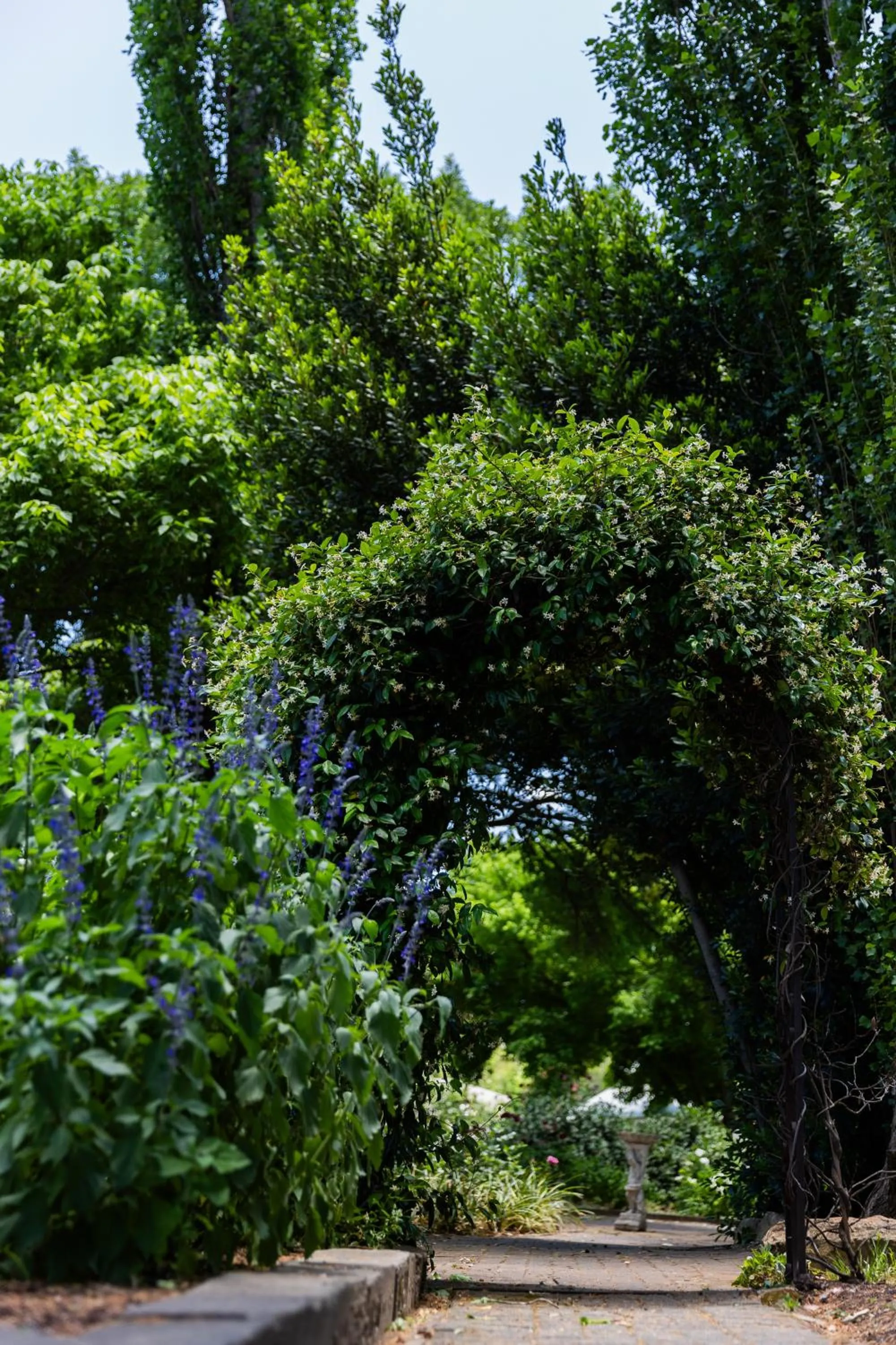 Garden in Lavender Hill Country Estate and Wedding Venue