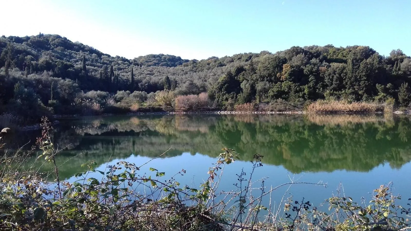 Natural landscape in Riposo Studios & Apartments