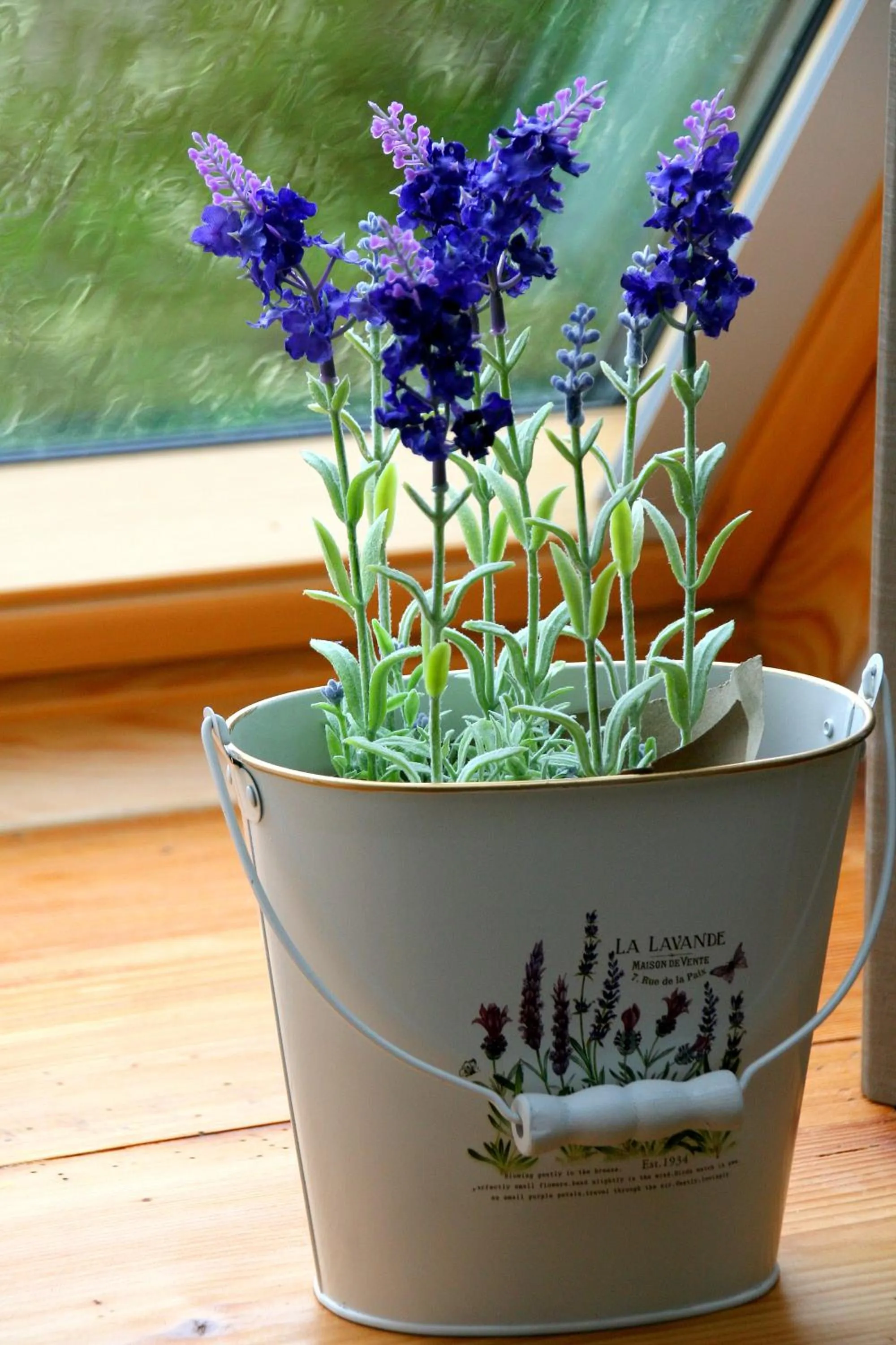 Waldvogel Ferienzimmer klimatisiert