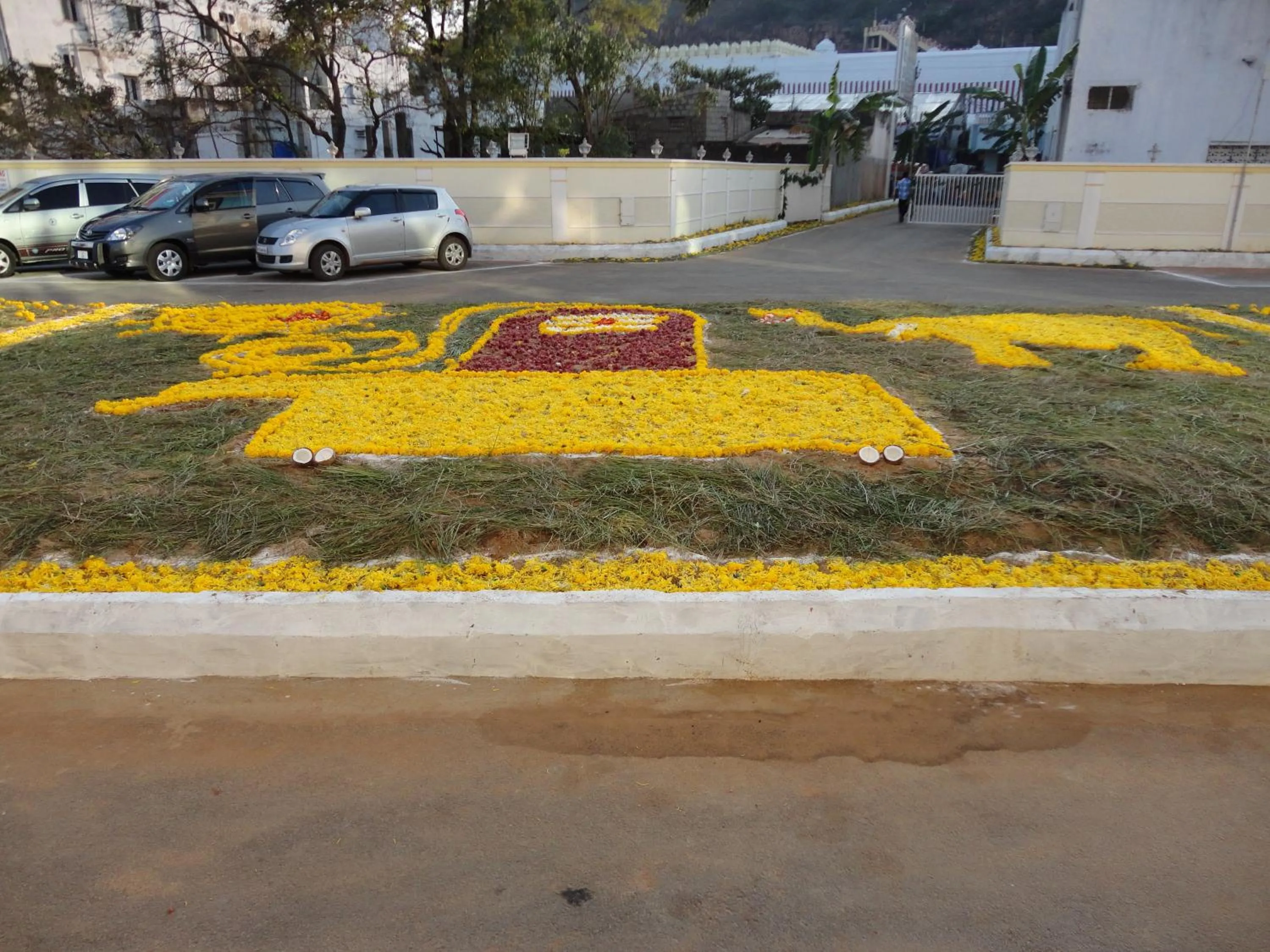 Garden in Hotel MGM Grand
