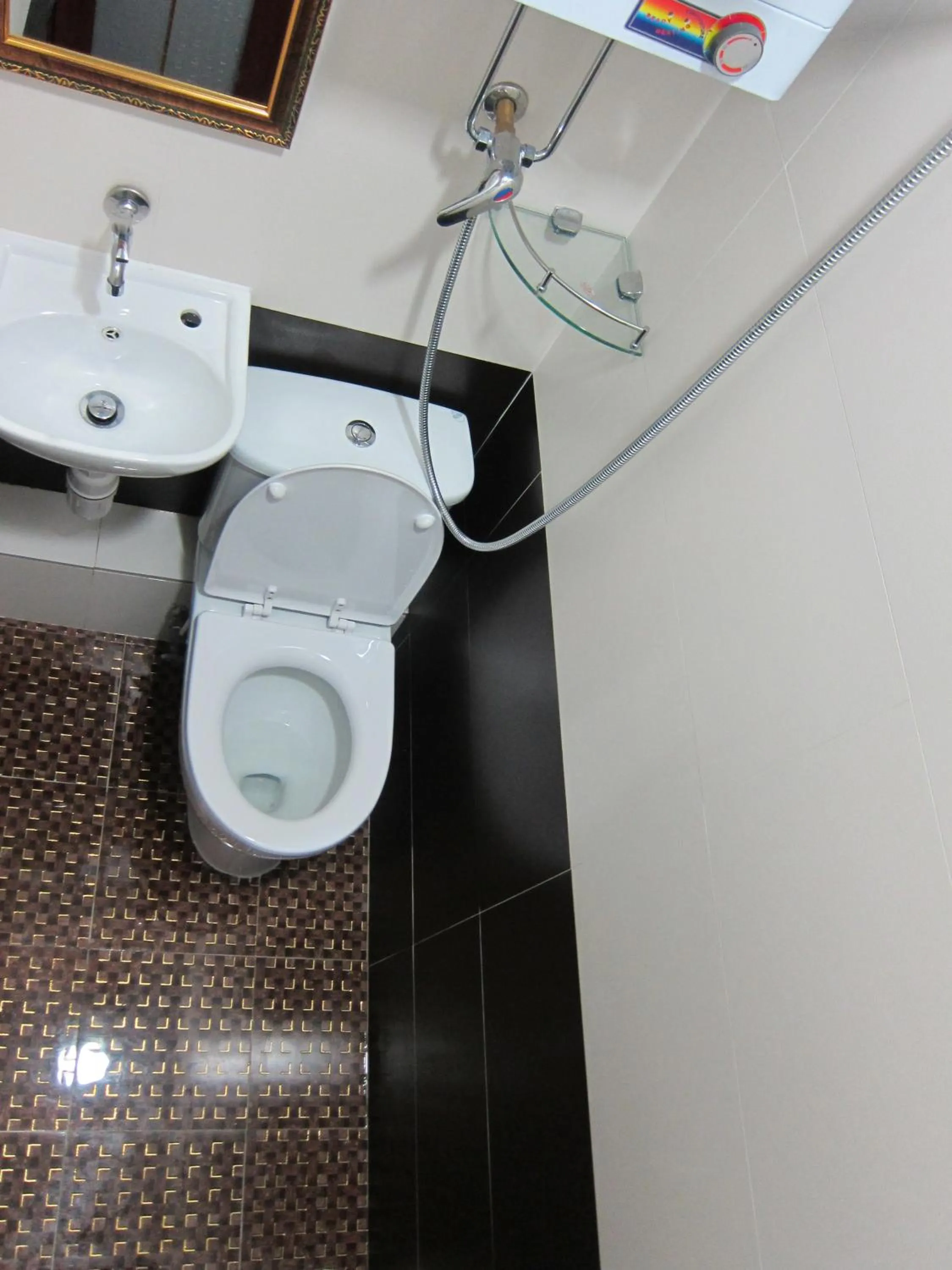 Toilet in Delta Lounge
