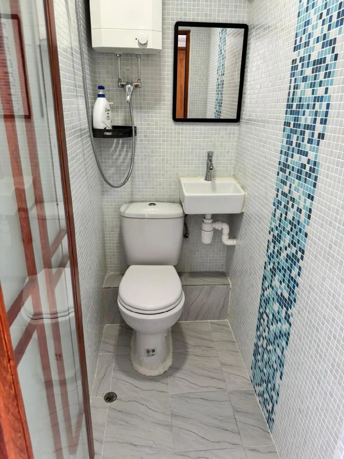 Toilet in Delta Lounge