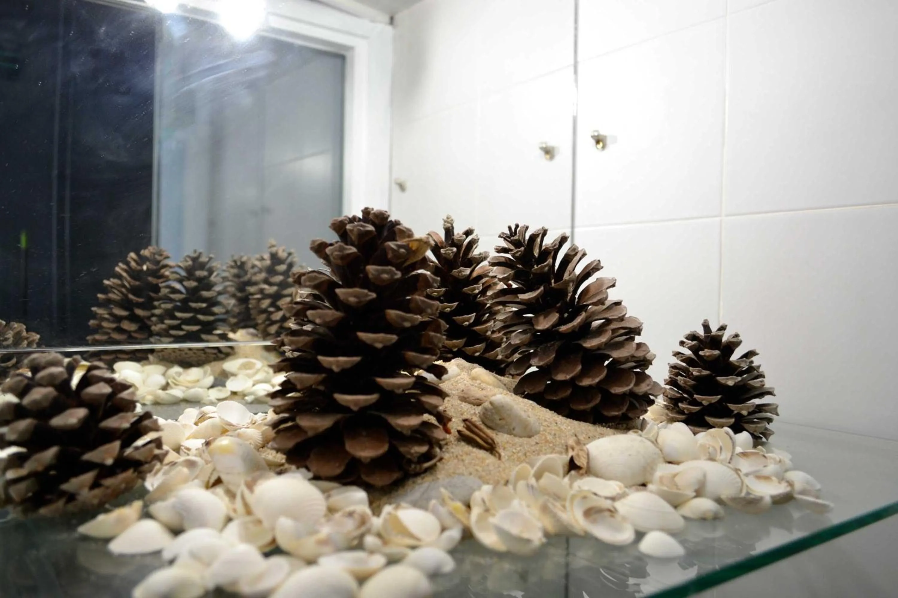 Decorative detail in Albergue O Fogar de Teodomiro