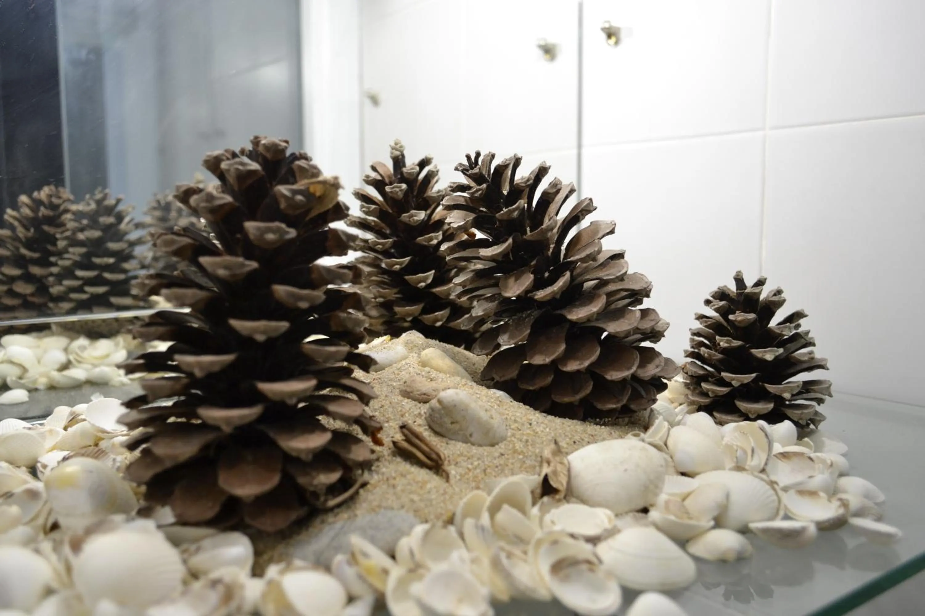 Decorative detail in Albergue O Fogar de Teodomiro