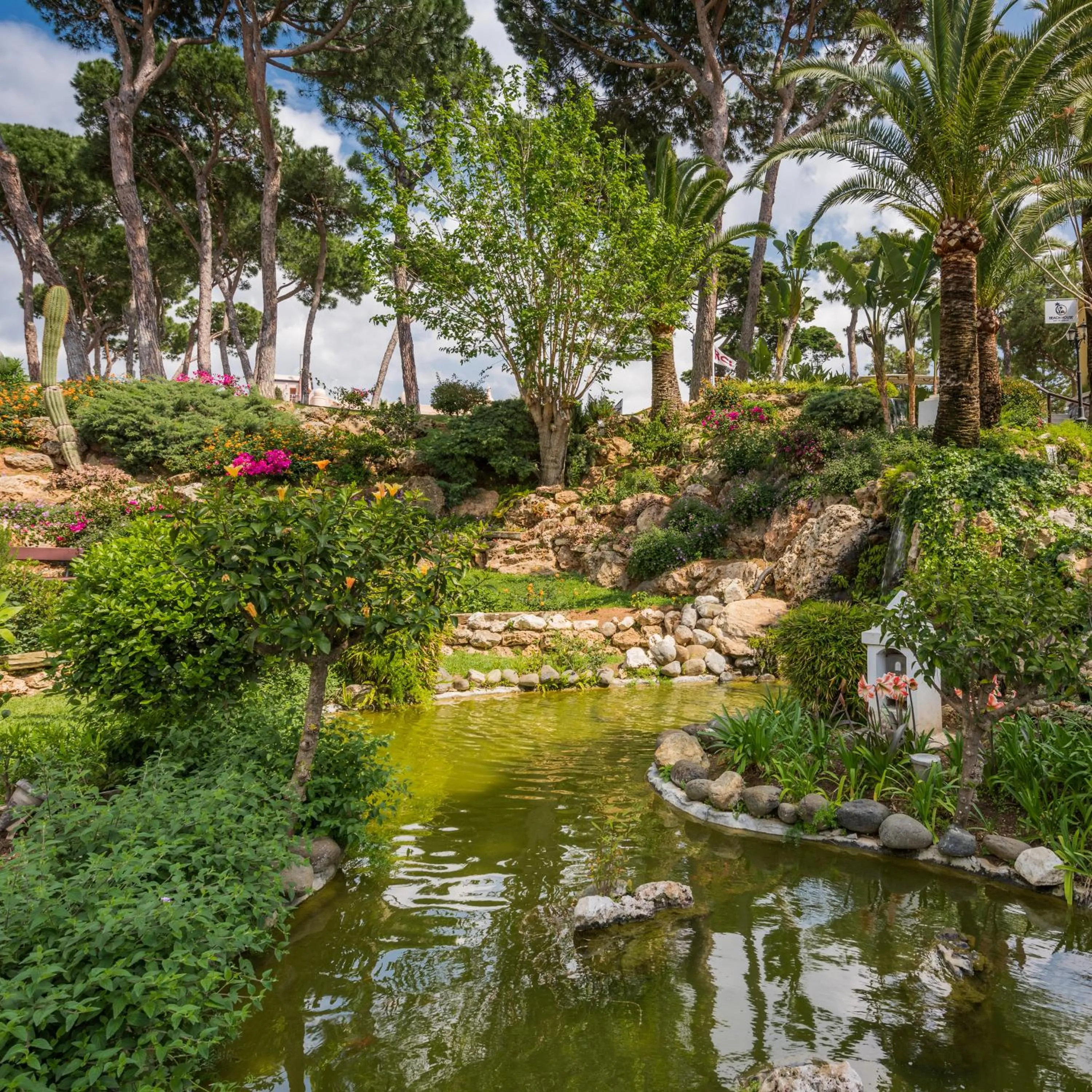 Garden in Macdonald Leila Playa Resort