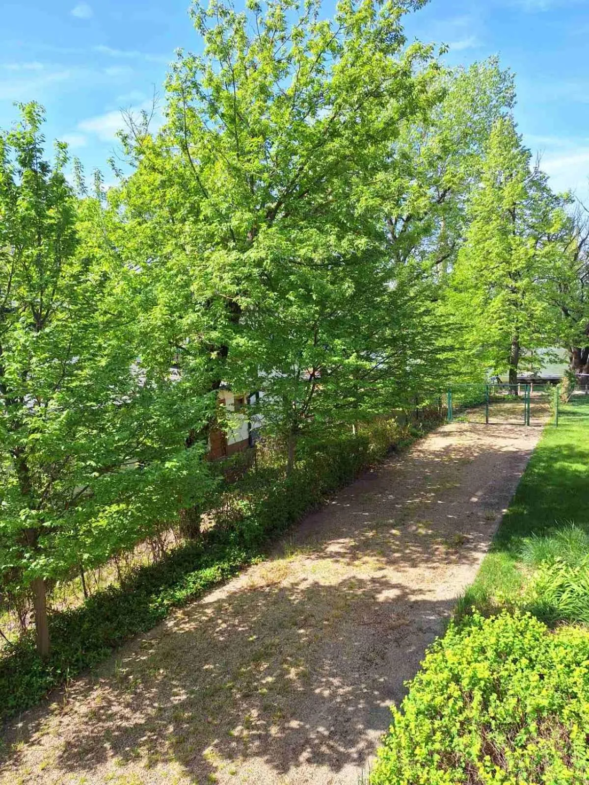 Garden in Duna Garden Hotel