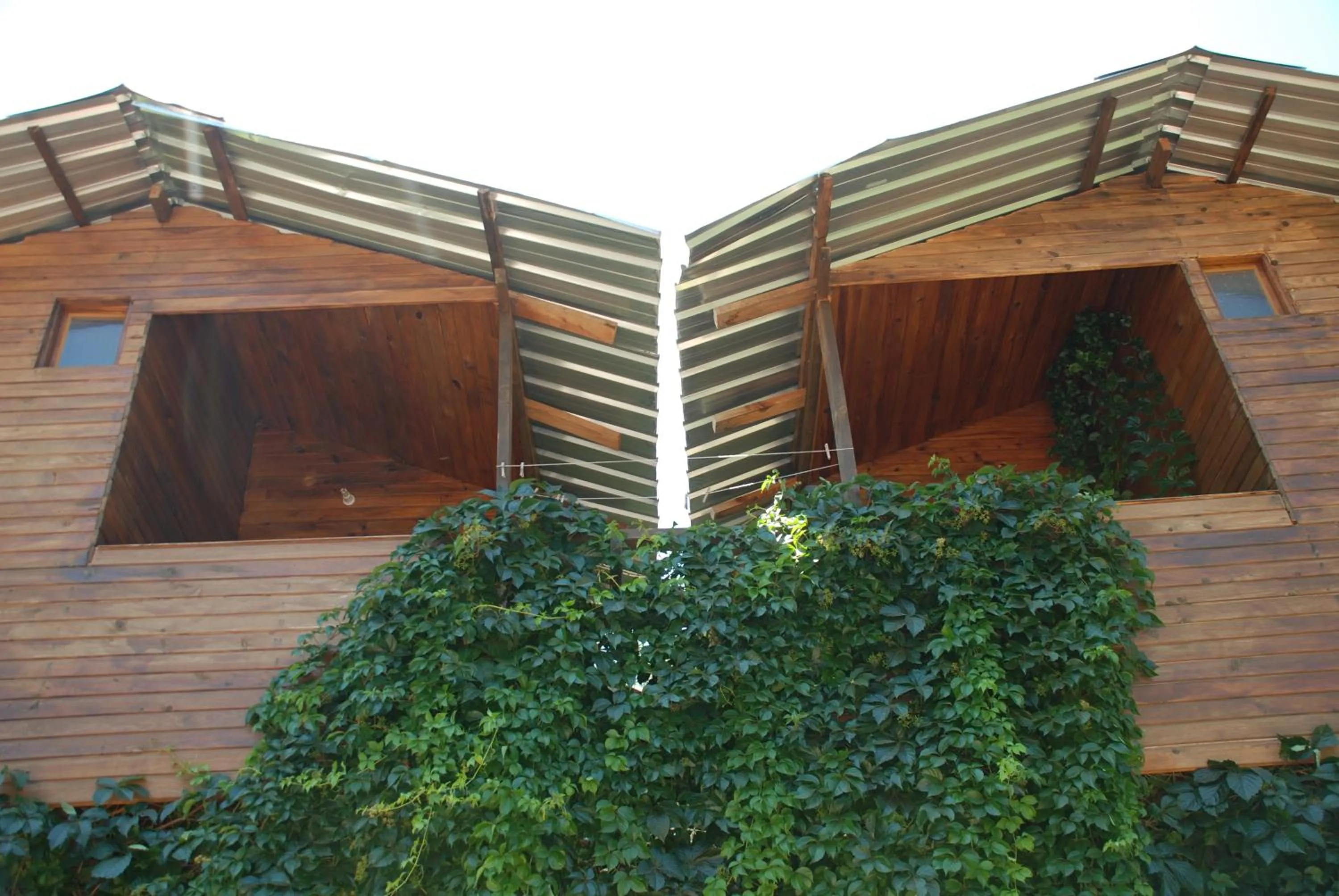 Property building in Olympos Camlık Pension