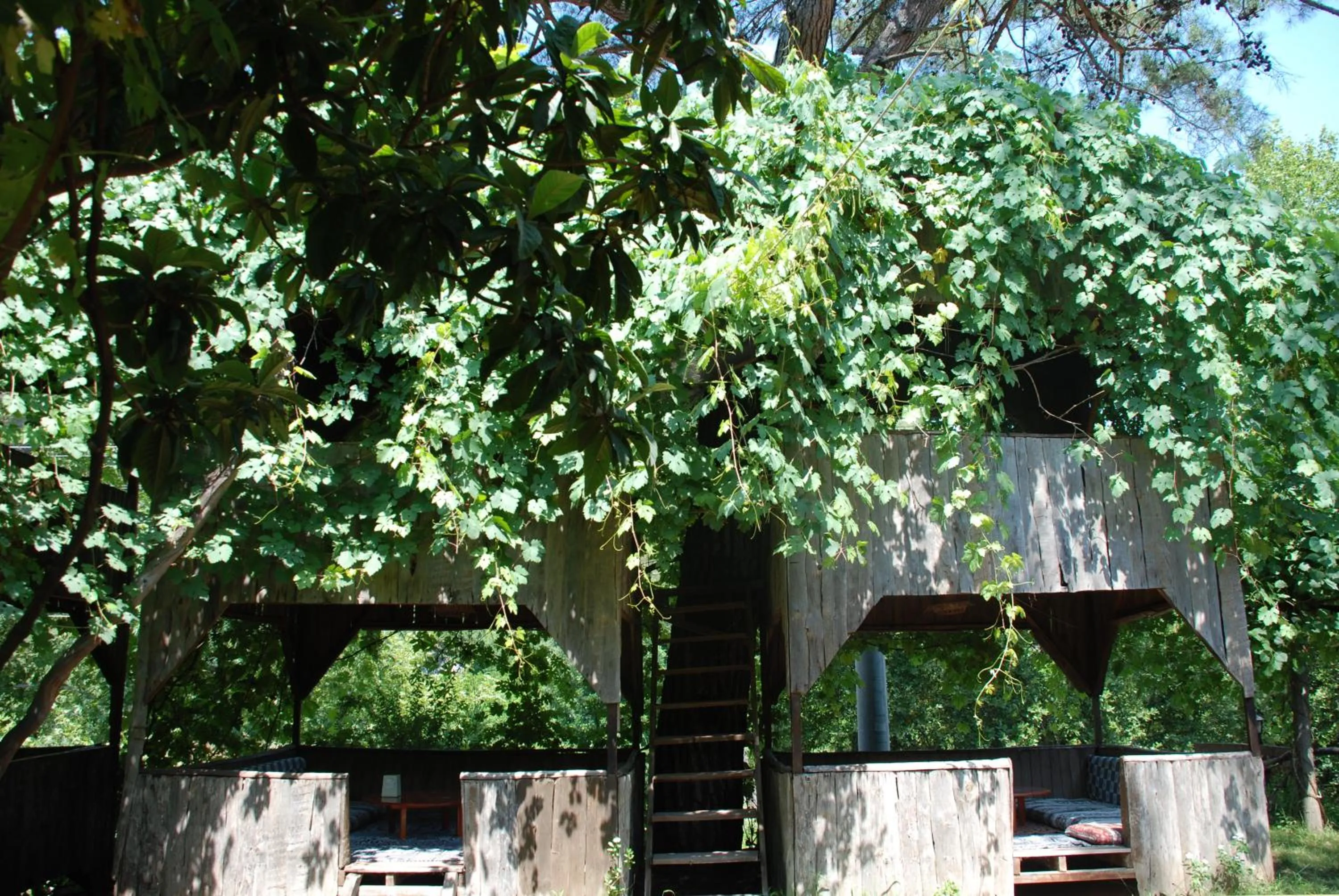 Property building in Olympos Camlık Pension