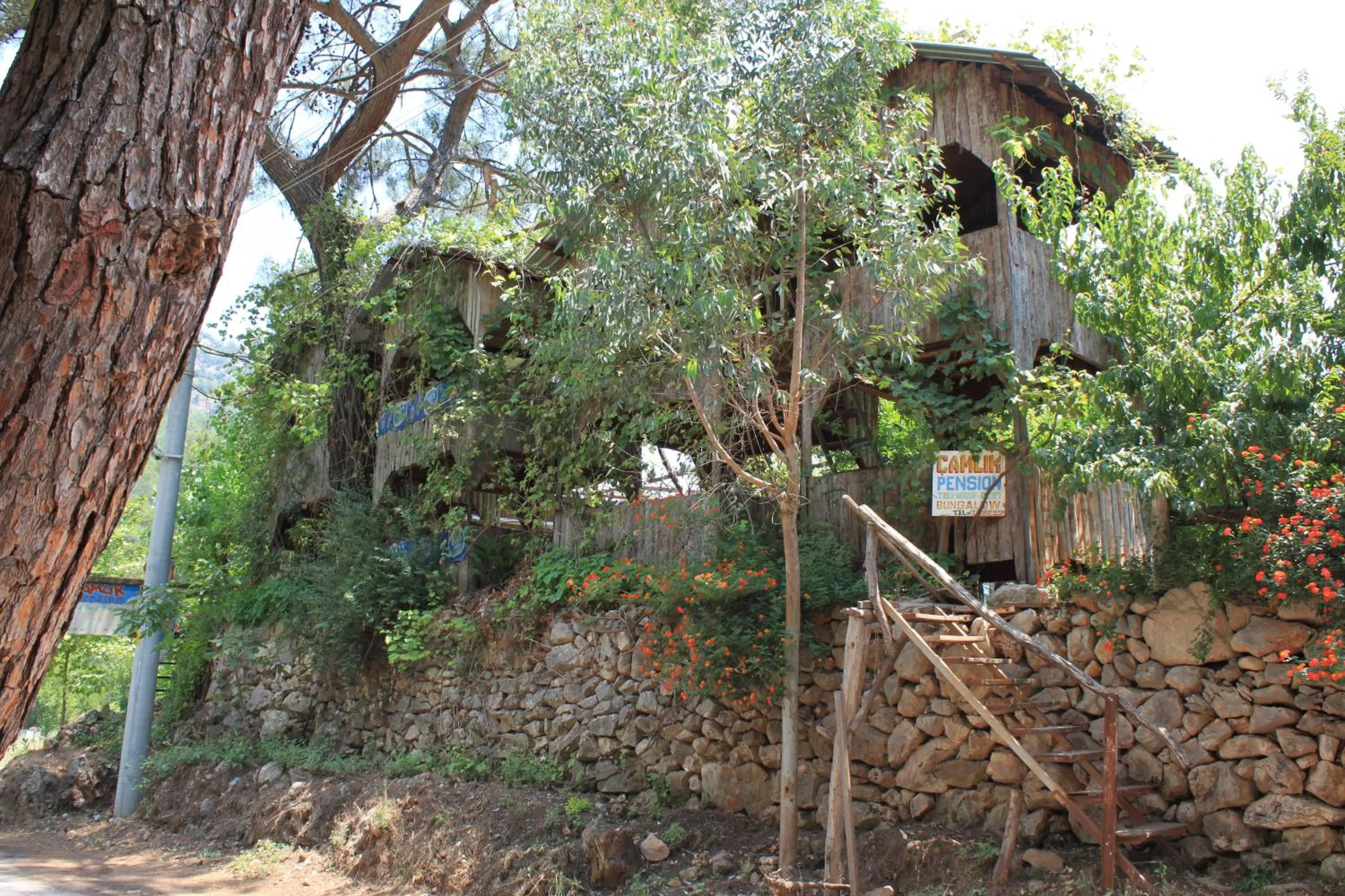 Property building in Olympos Camlık Pension