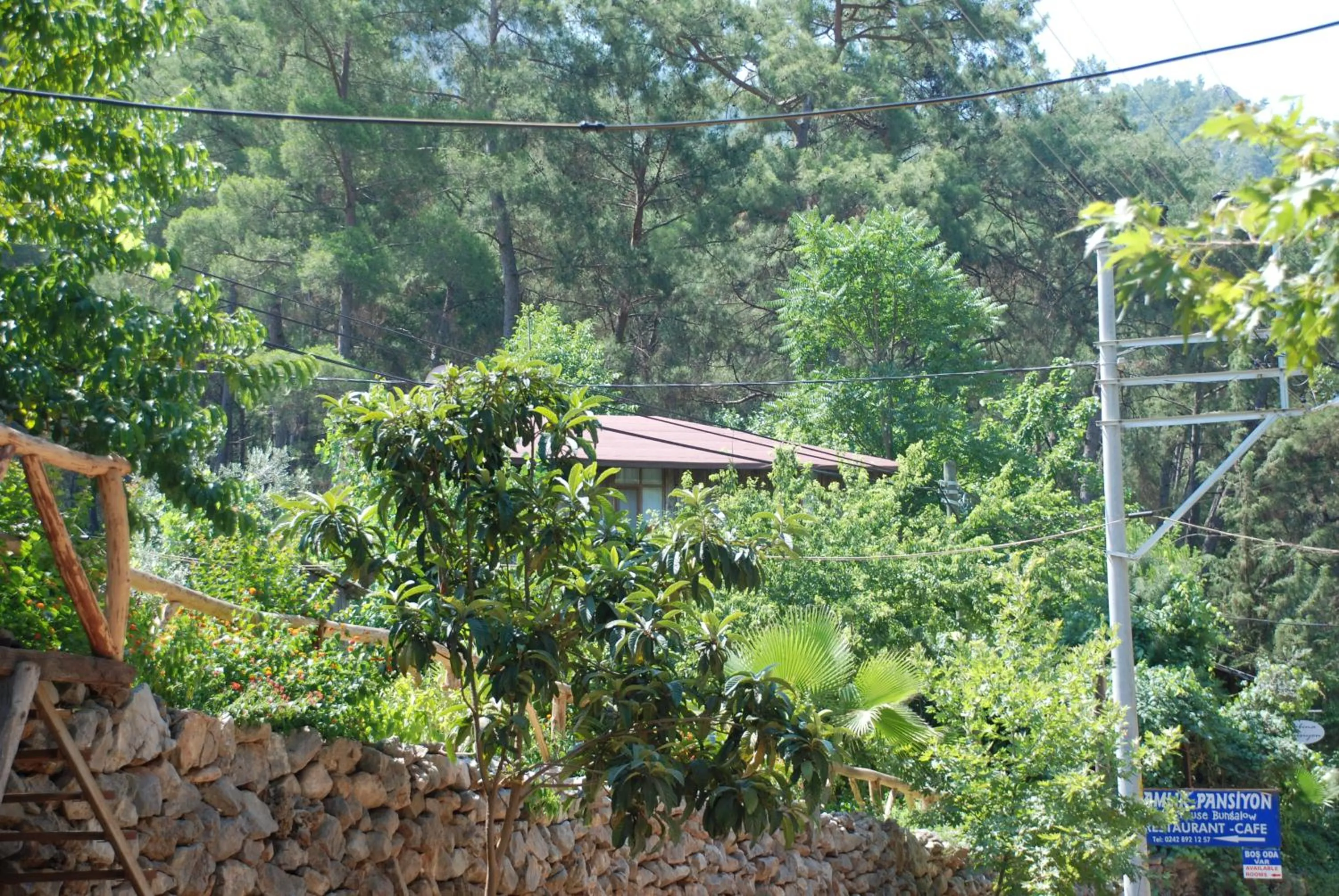 Natural landscape in Olympos Camlık Pension