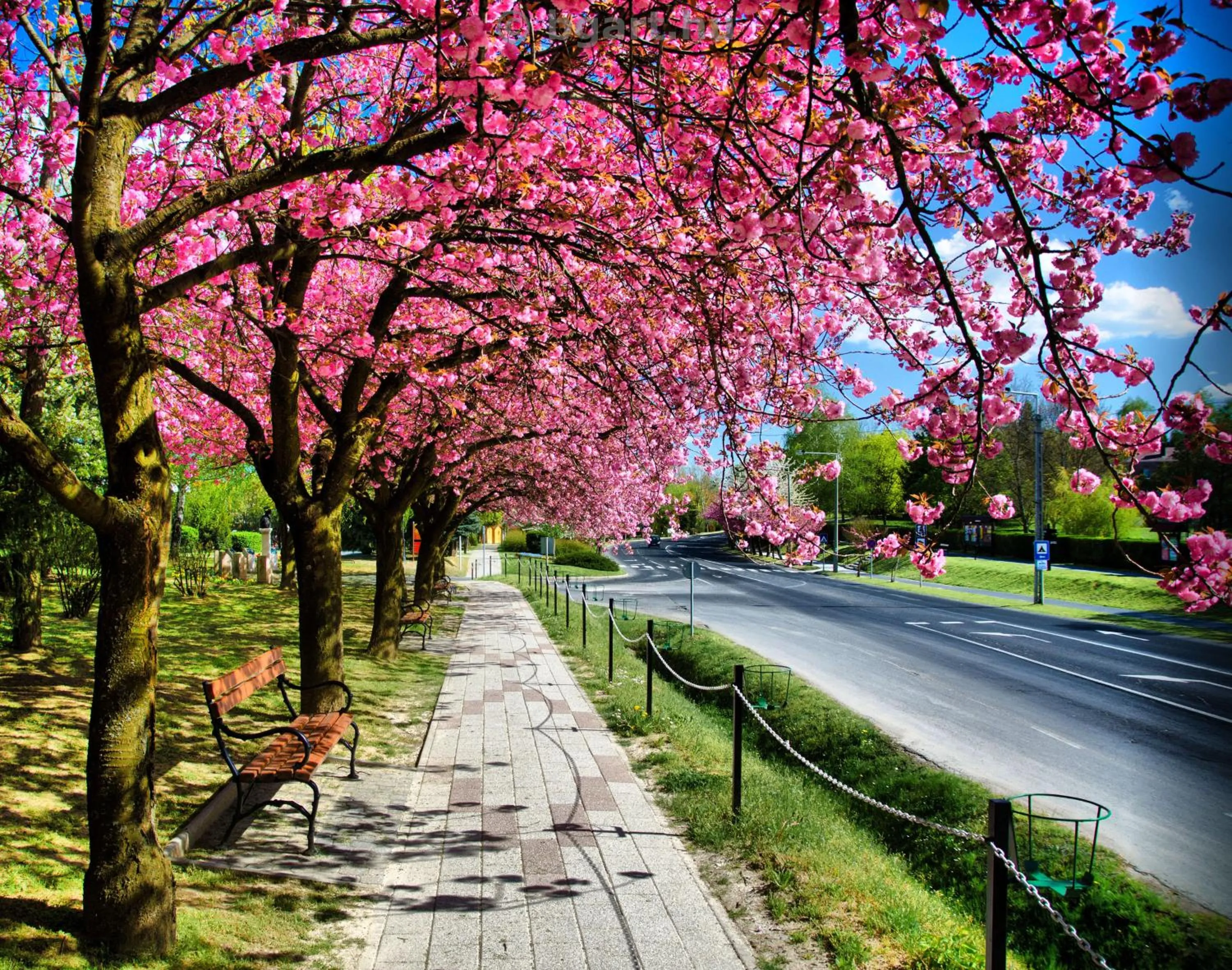 Spring in Napfény Hotel