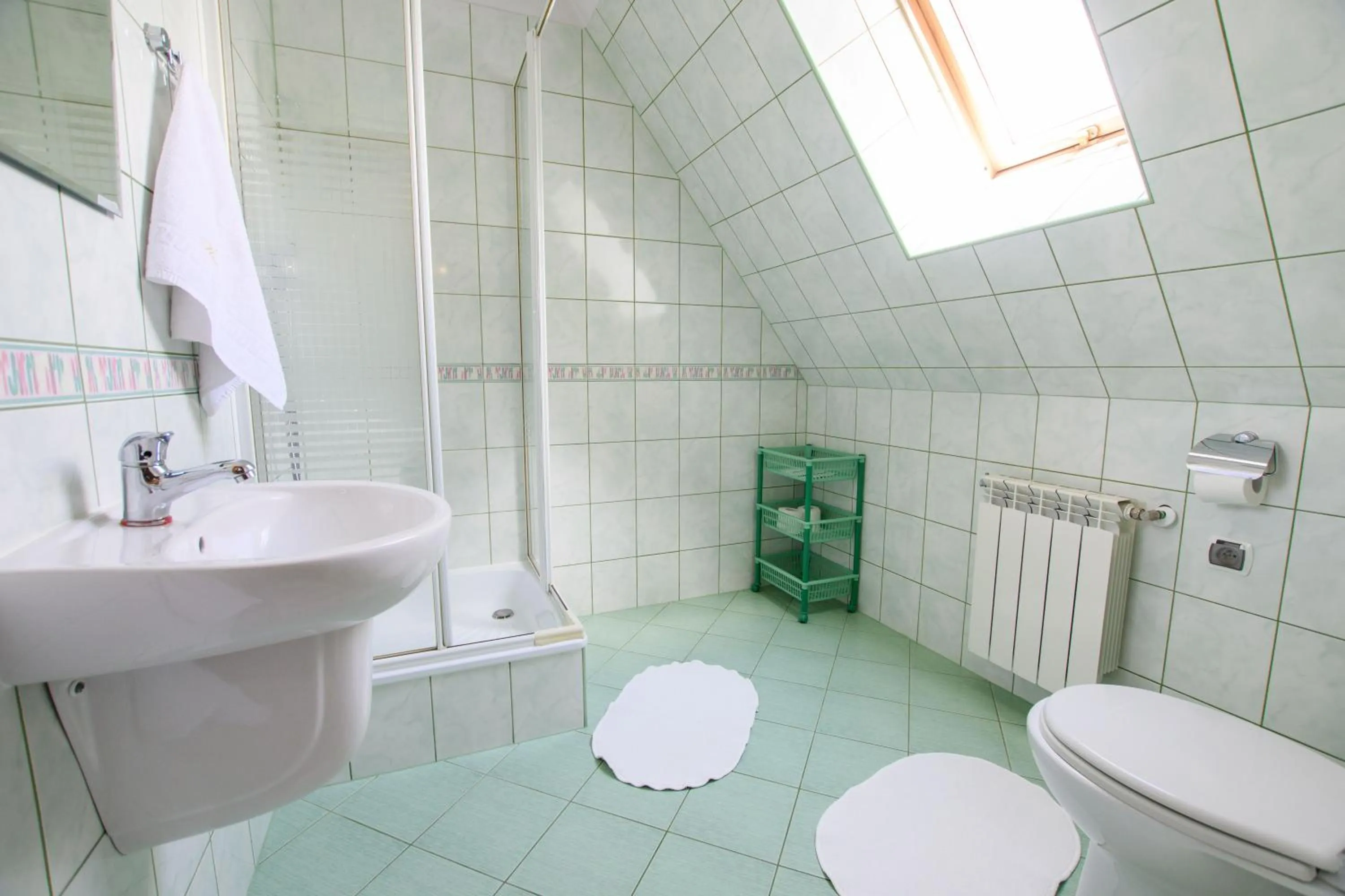 Shower in Willa Halinka