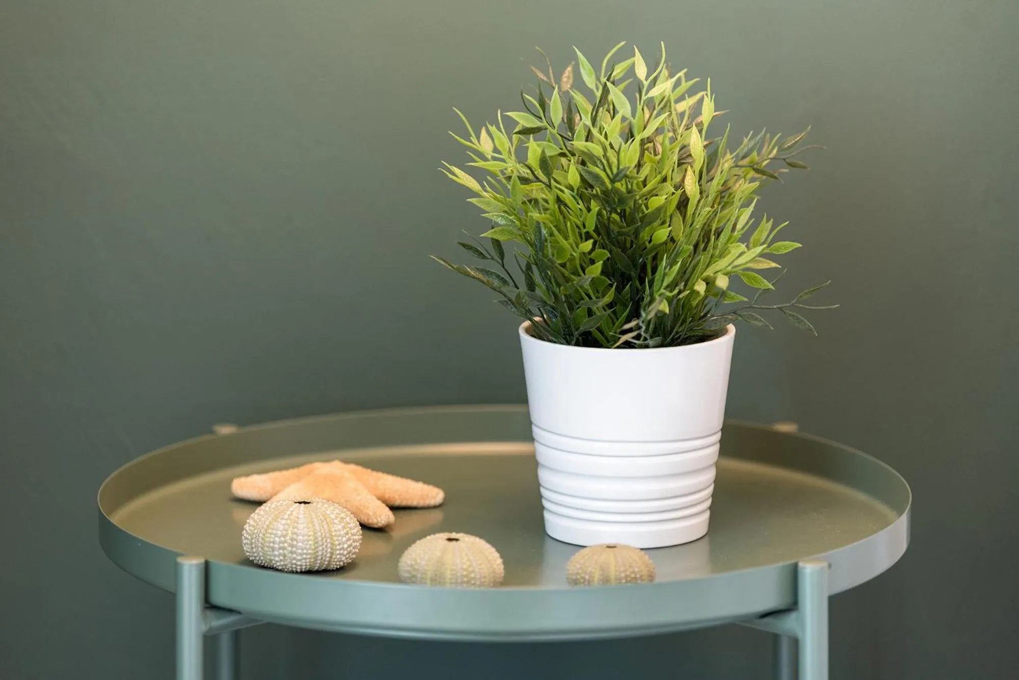 Decorative detail in Hotel Aurora