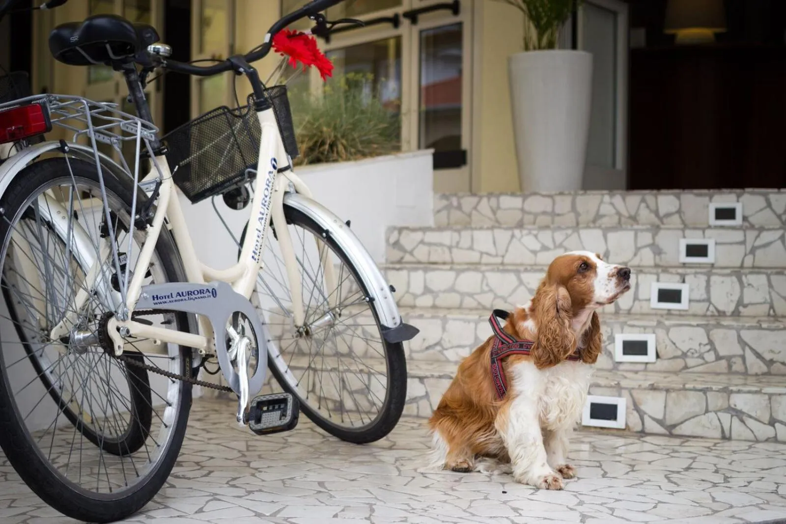 Facade/entrance in Hotel Aurora