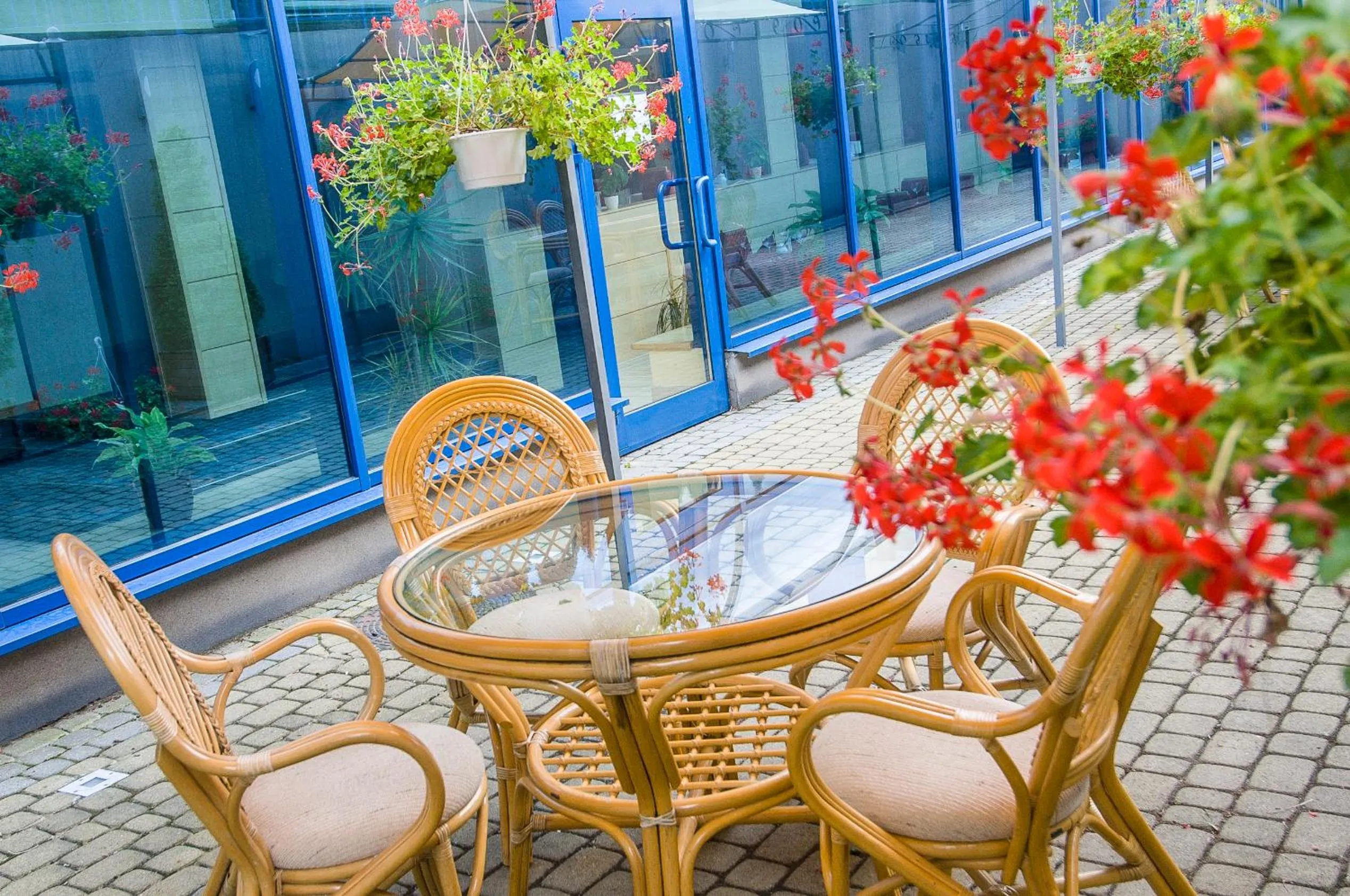 Patio in Hotel Pozyton