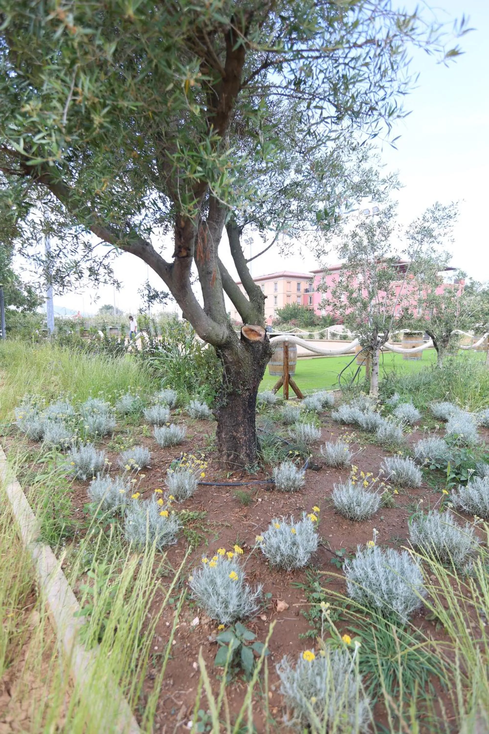 Garden view in Cors'Hotel