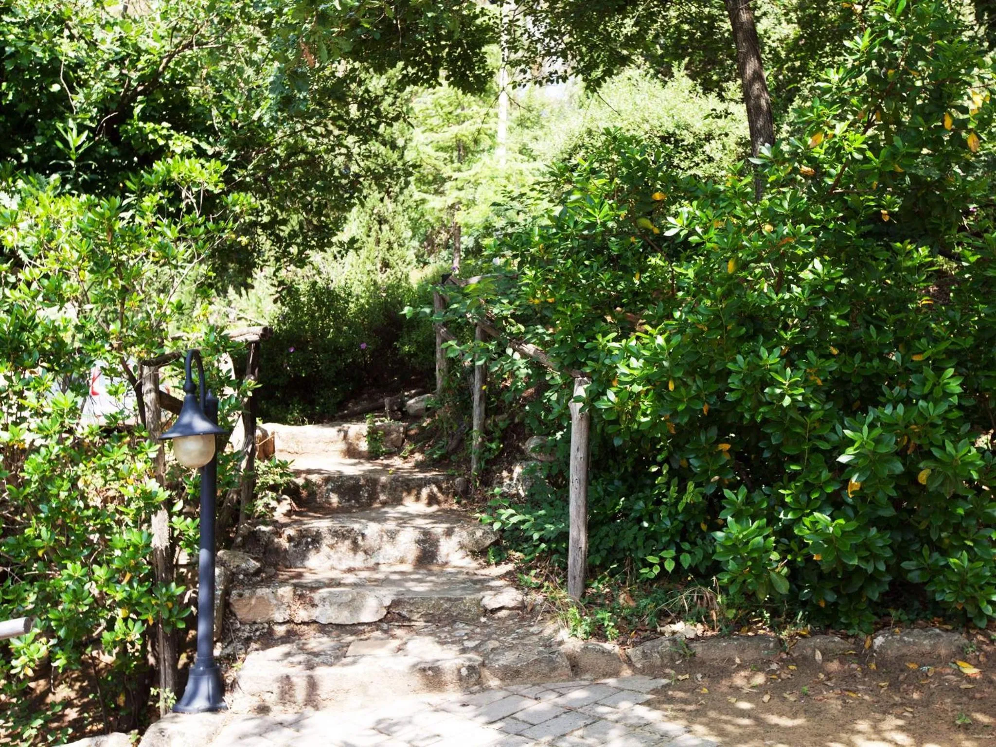 Garden in Torre di Renda