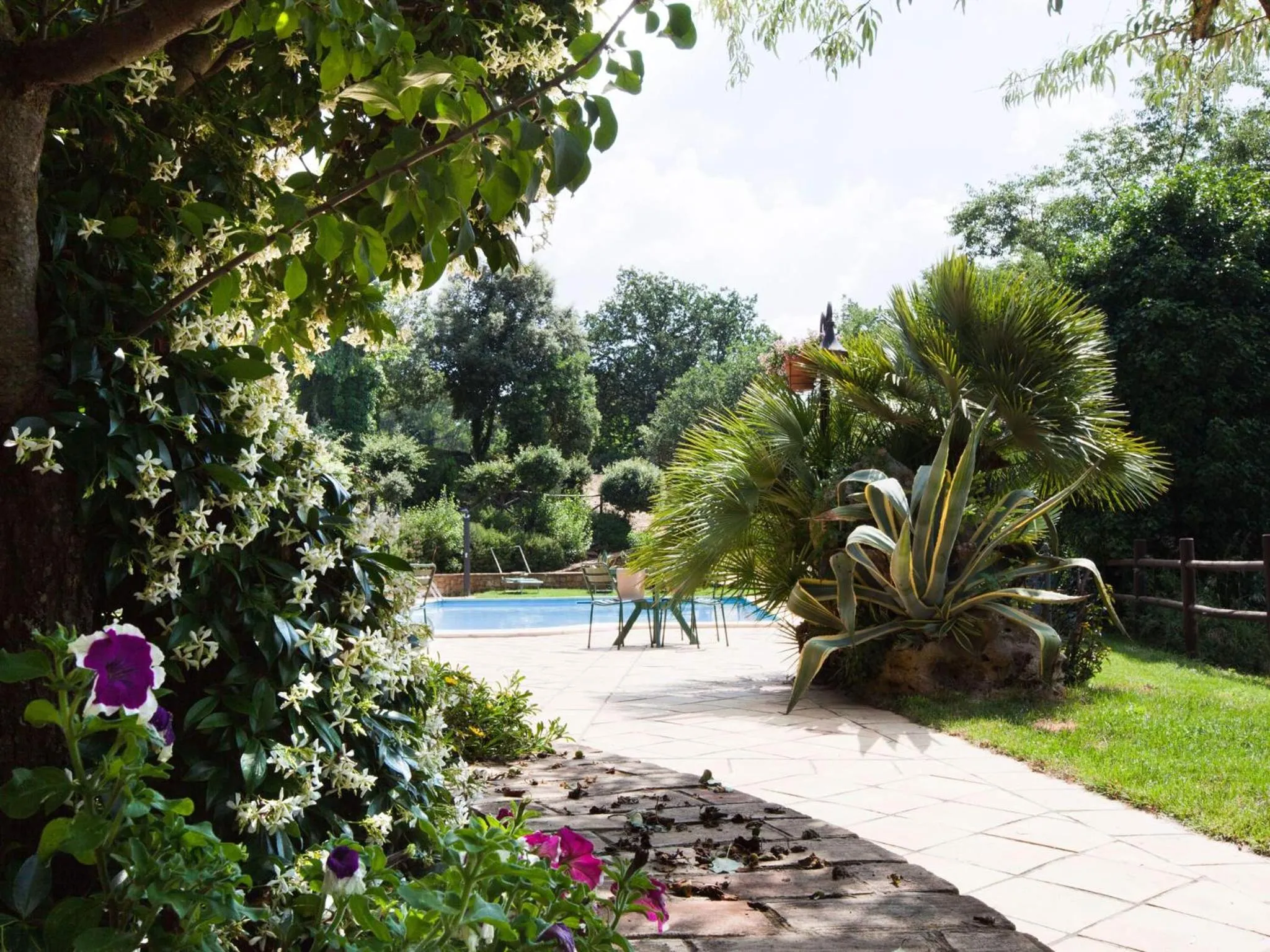 Swimming pool in Torre di Renda