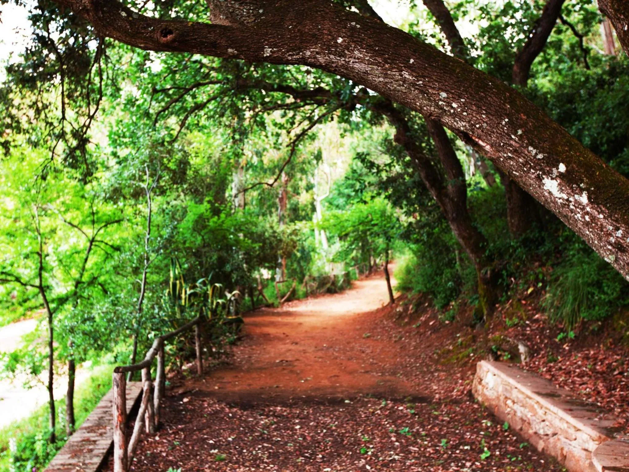 Area and facilities in Torre di Renda