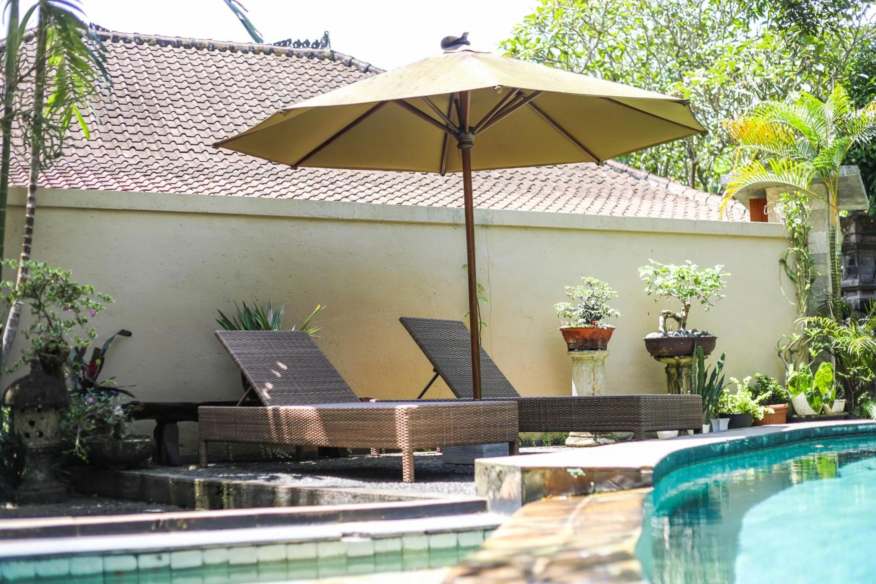 Swimming pool in Sari Bamboo Bungalows