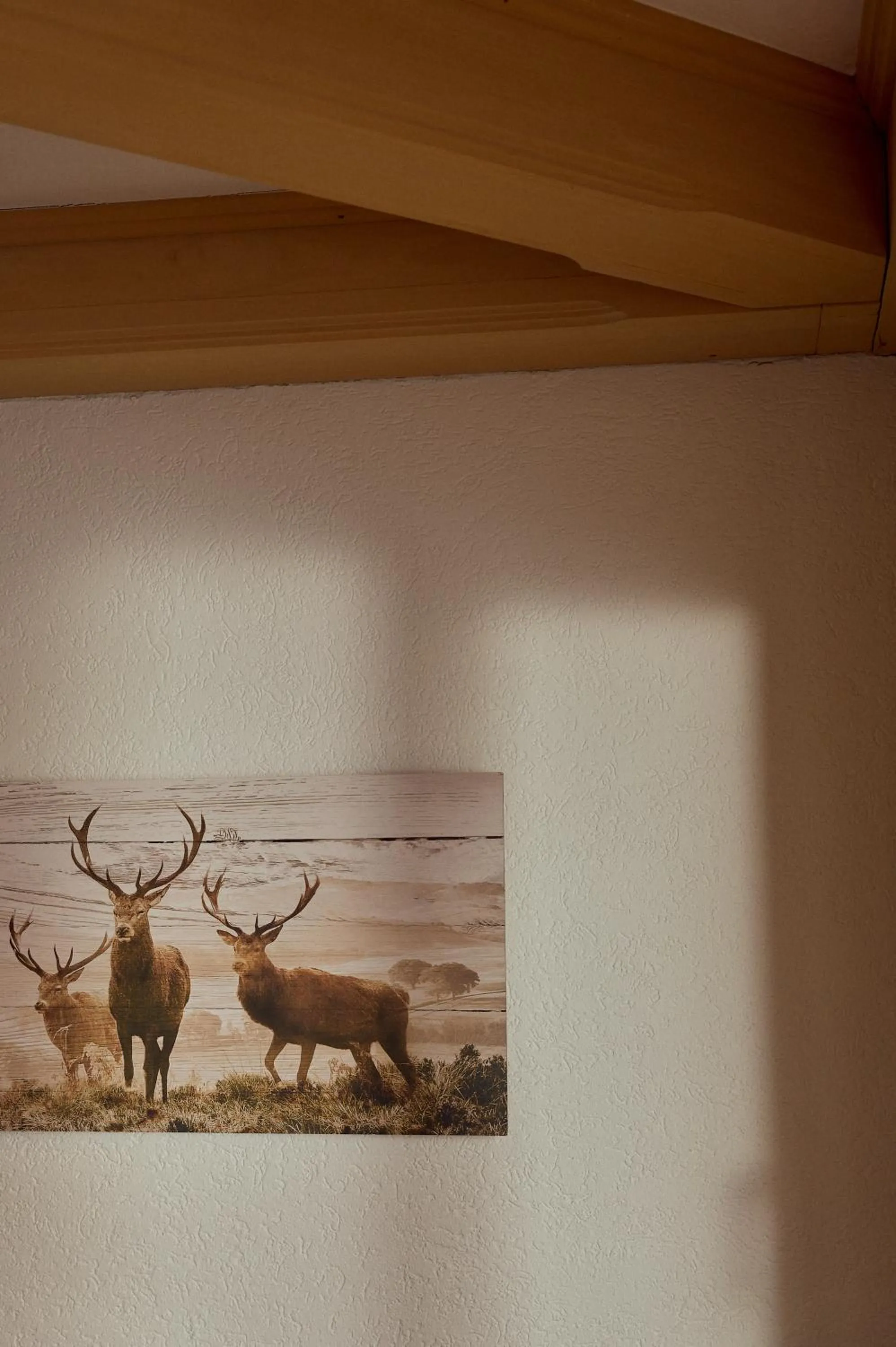 Decorative detail in Parkhotel Kirchberg