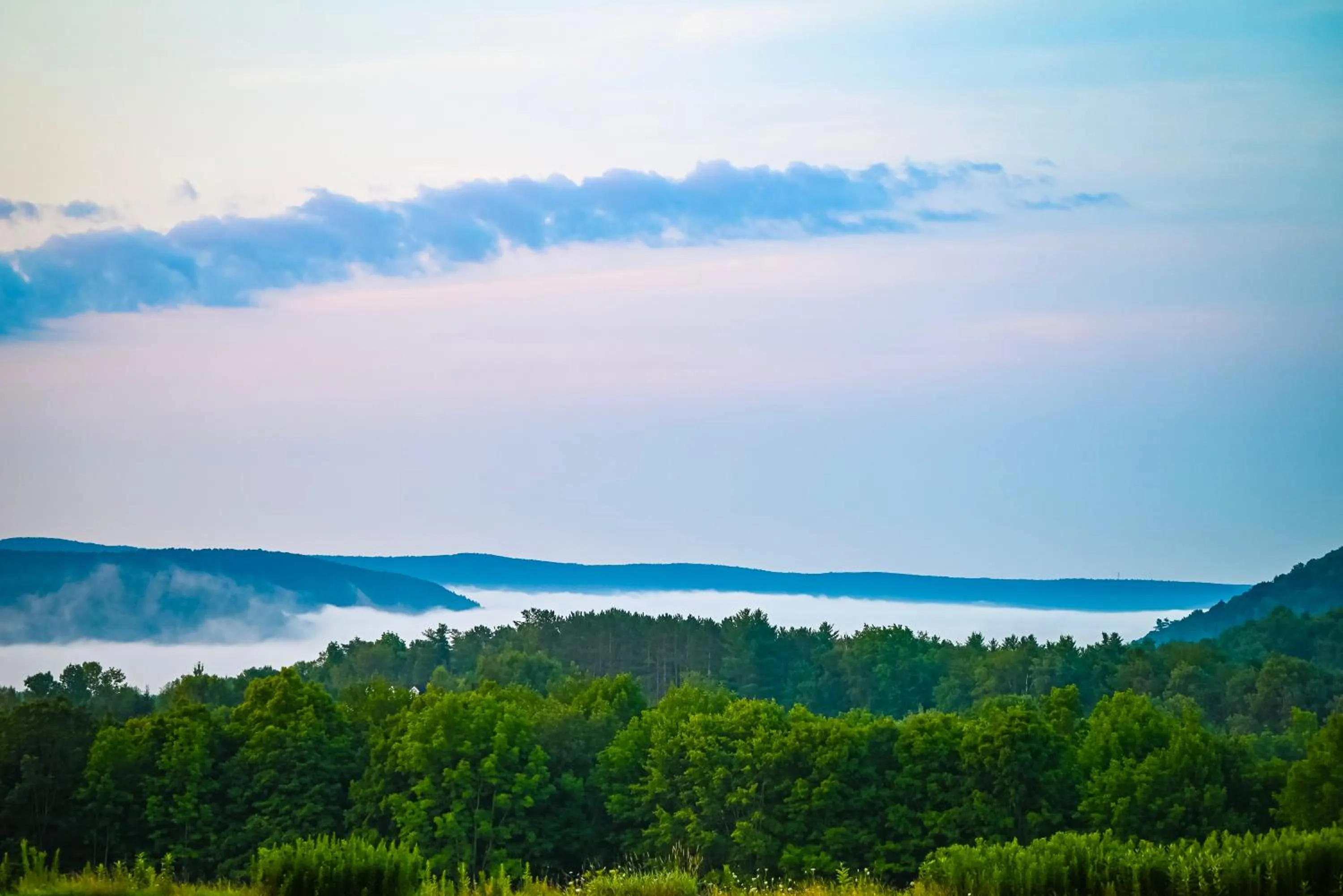 View (from property/room) in August Lodge Cooperstown
