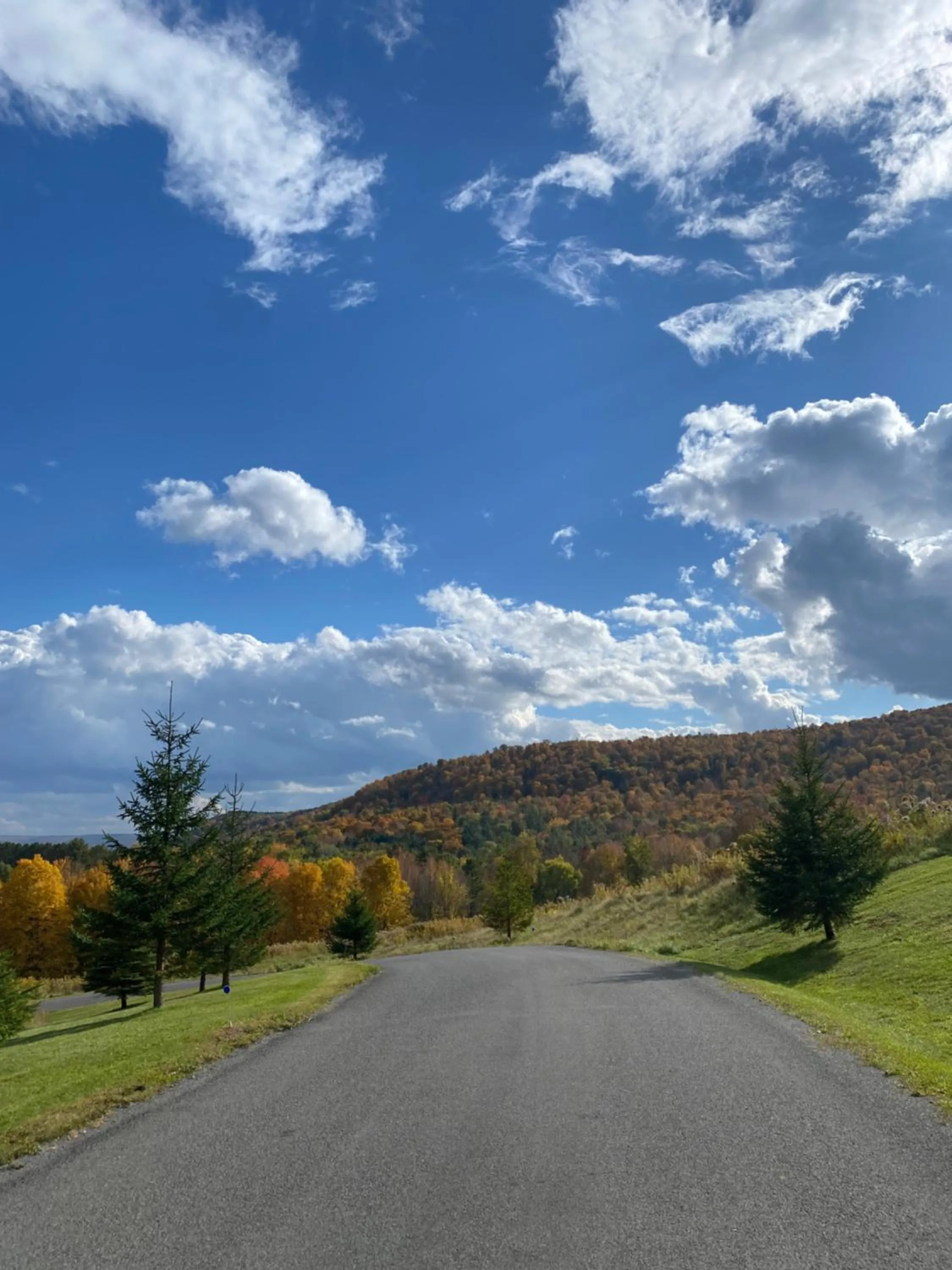 View (from property/room) in August Lodge Cooperstown