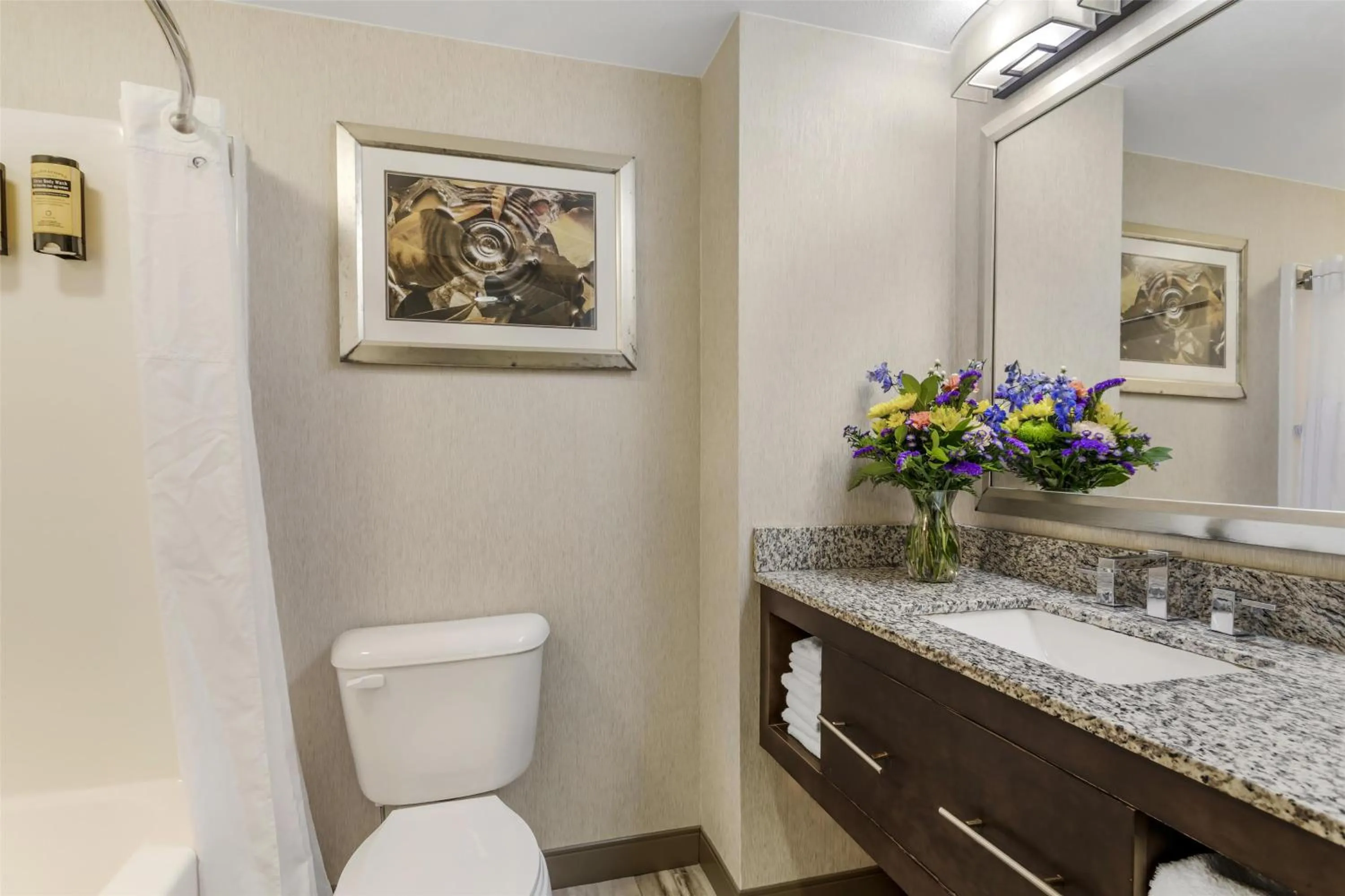 Bathroom in Best Western Plus River Escape Sylva / Dillsboro