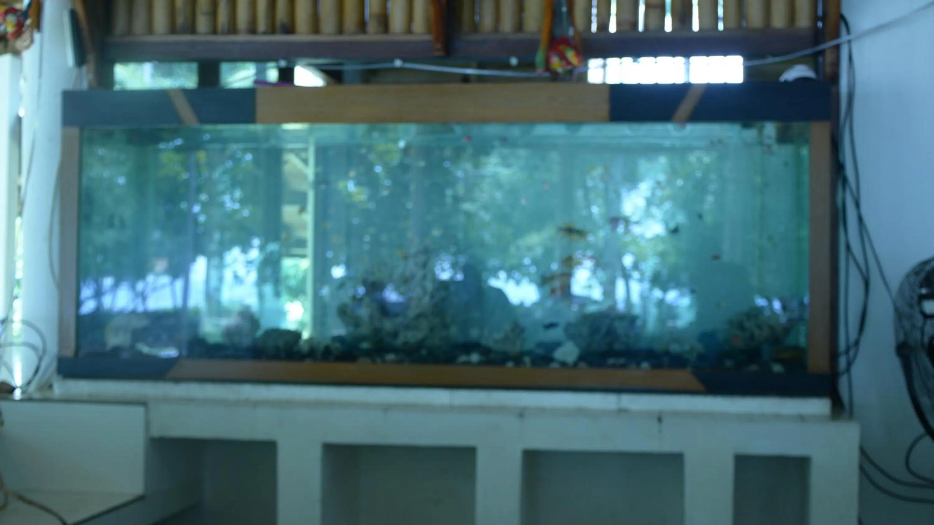 Sunset Springs Beach Retreat