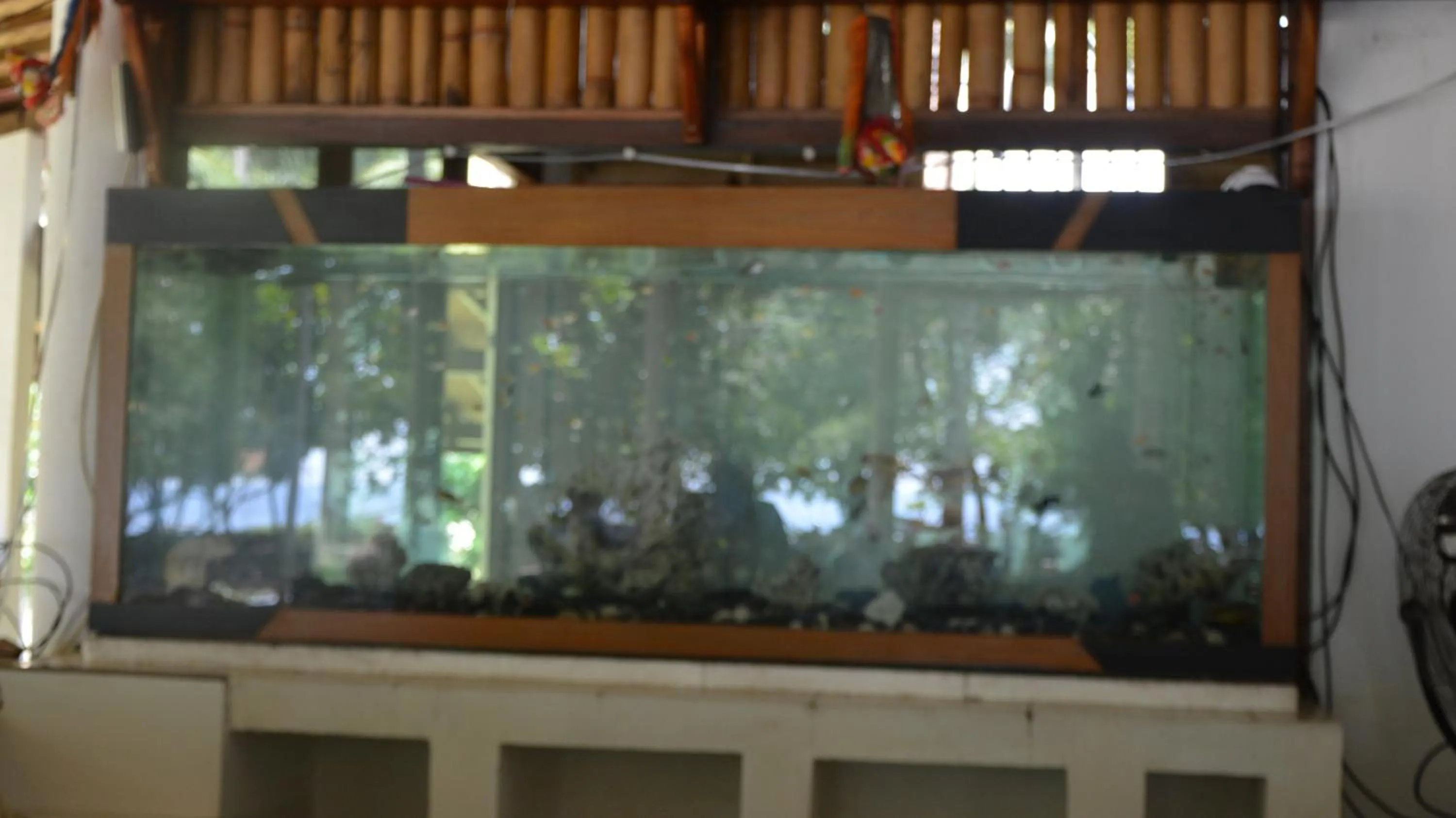 Sunset Springs Beach Retreat