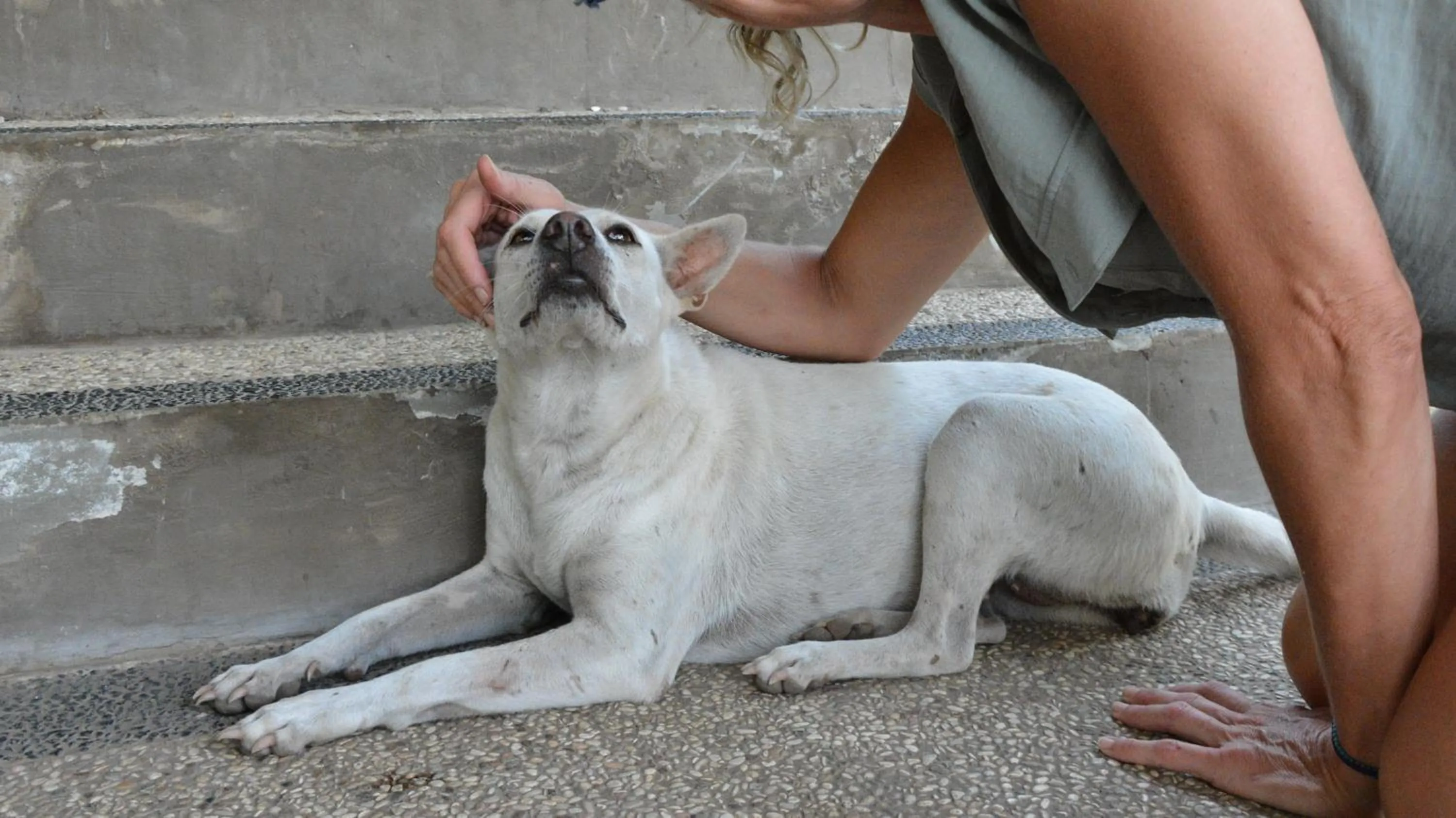 Sunset Springs Beach Retreat