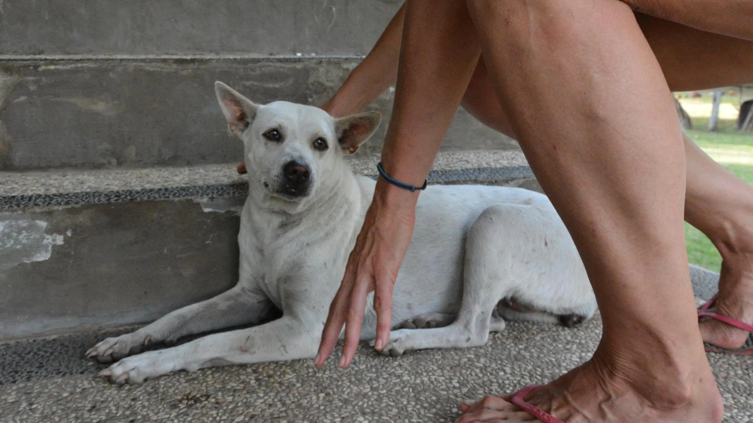 Sunset Springs Beach Retreat