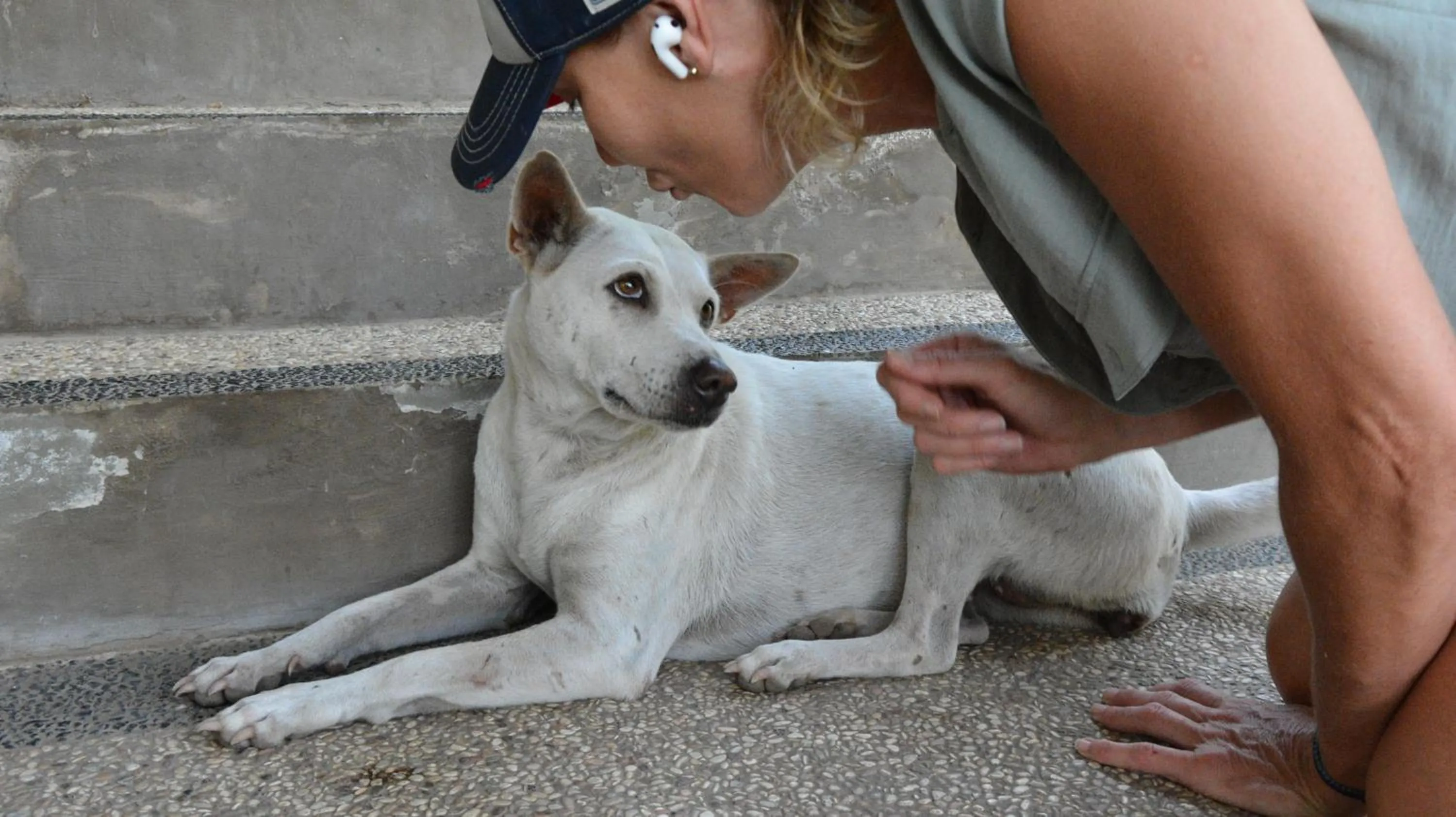 Sunset Springs Beach Retreat