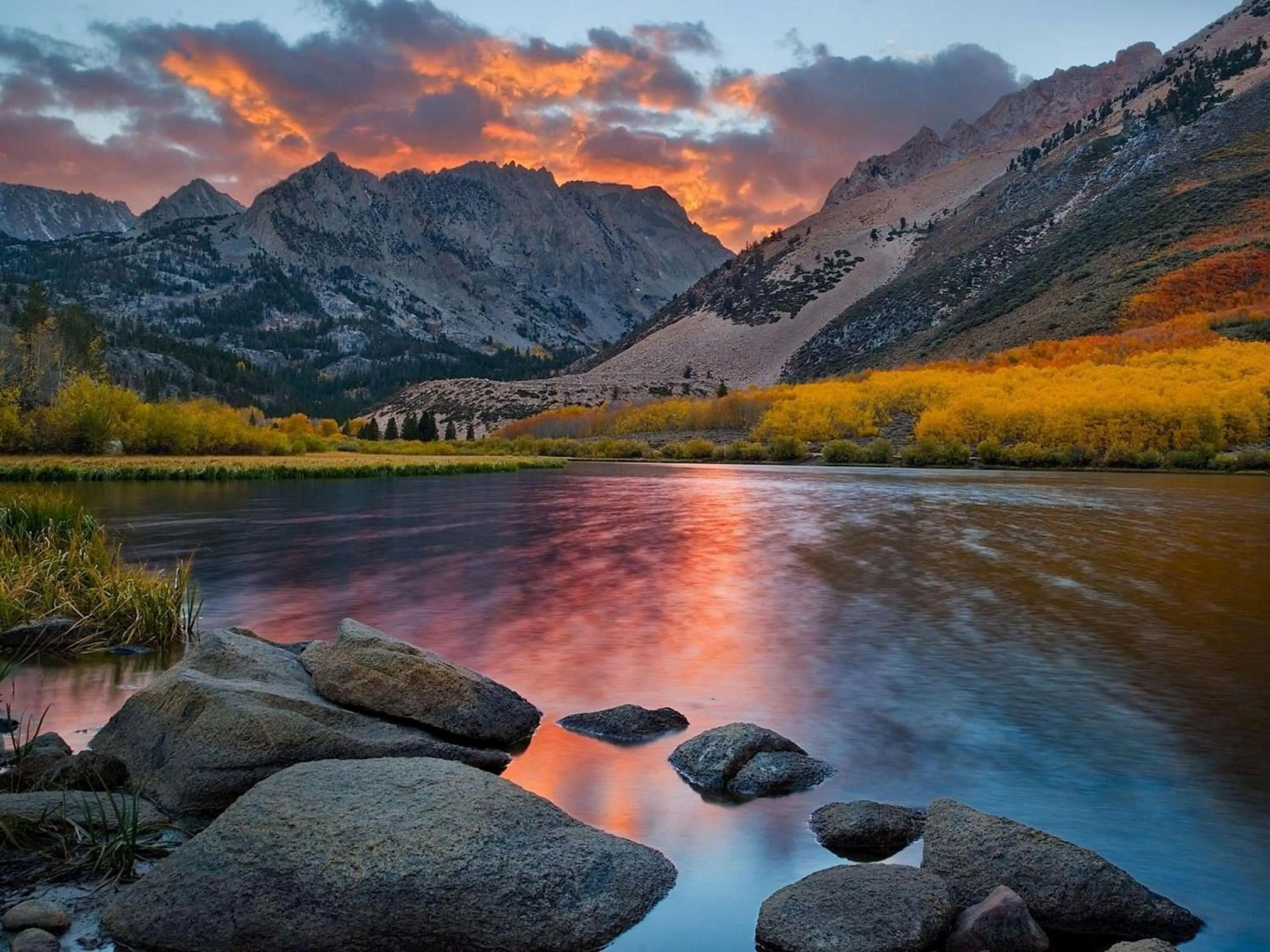 Natural landscape in Wayfinder Bishop