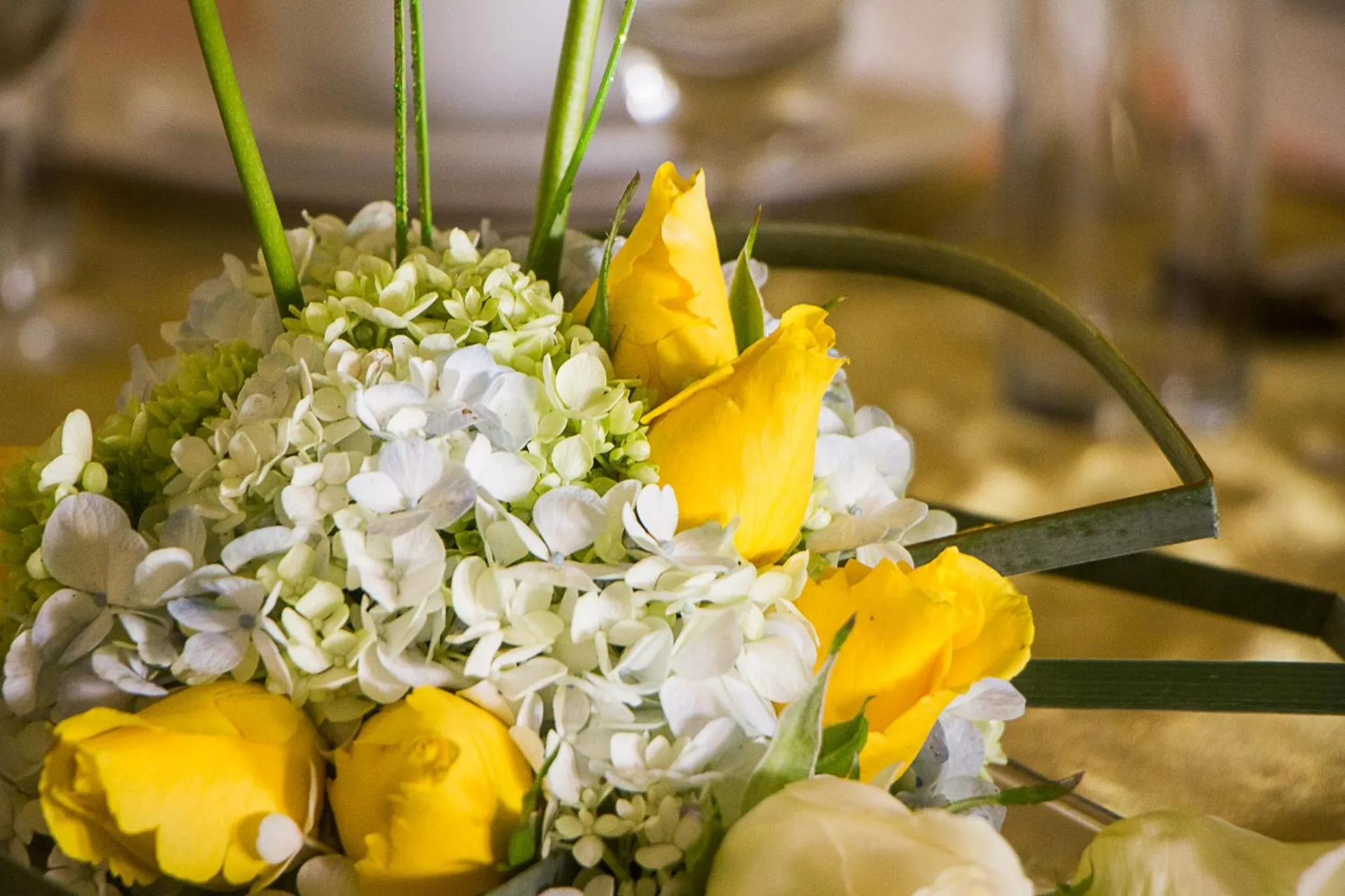 Villa las Margaritas Plaza Cristal