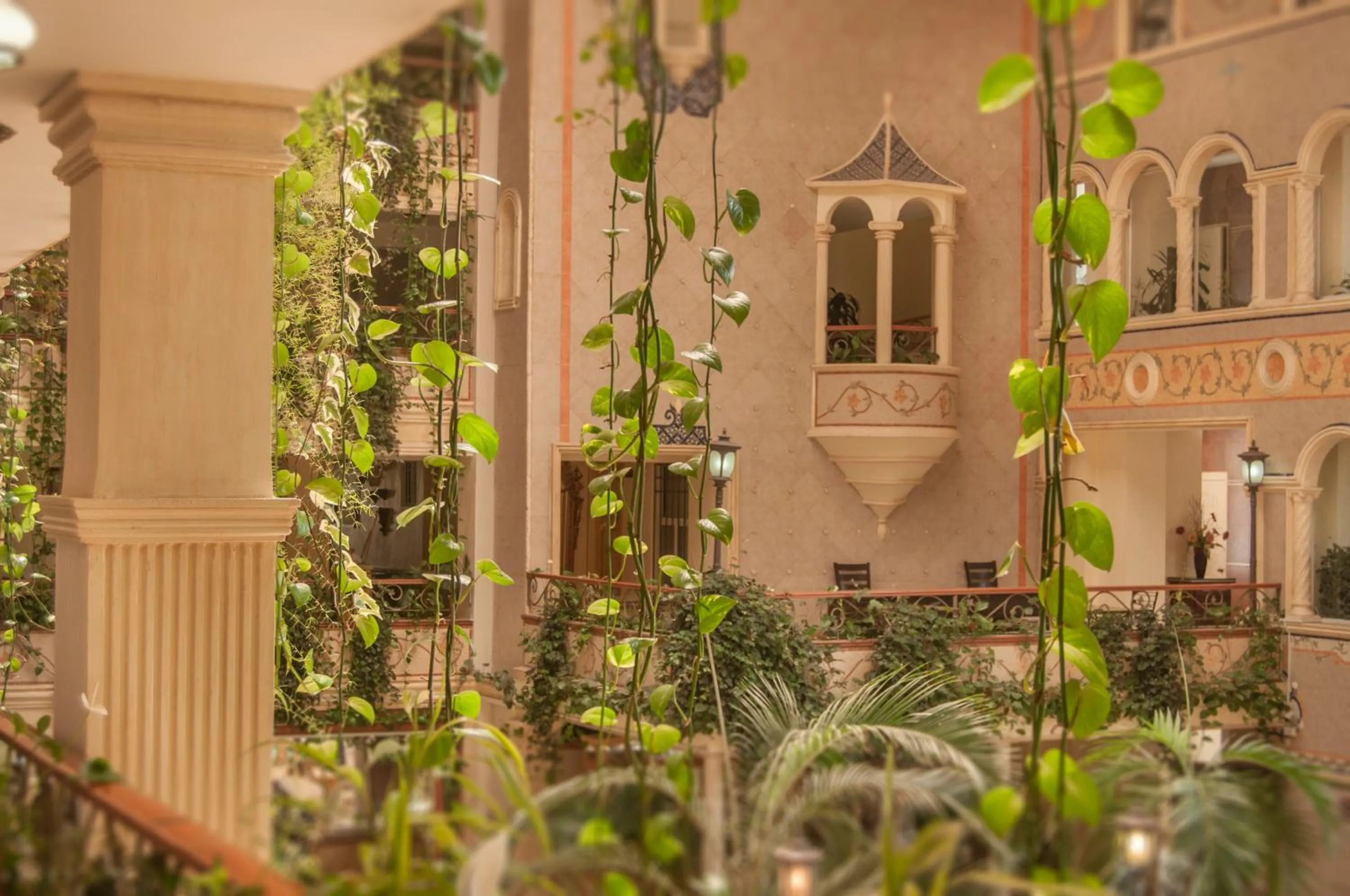 Area and facilities in Villa Las Margaritas Caxa